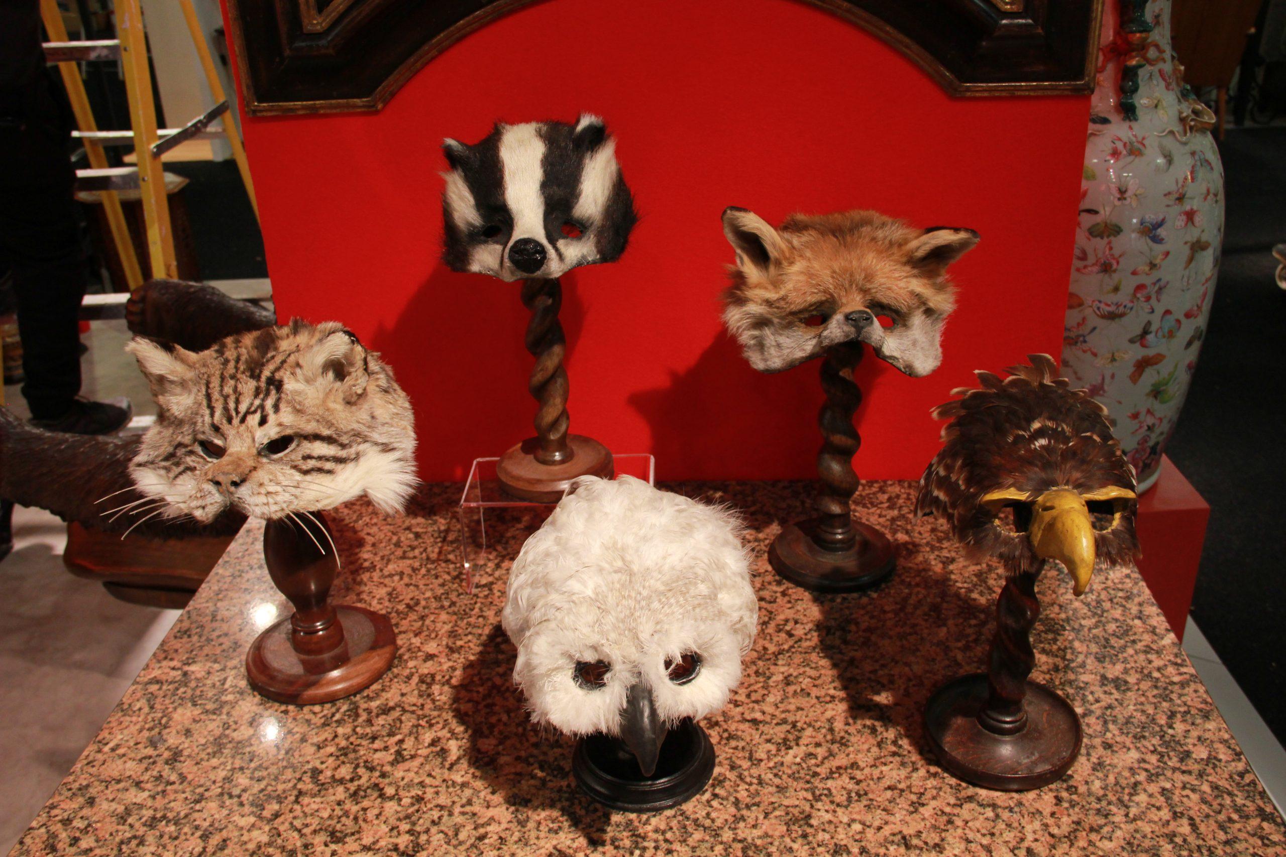 Máscaras de animales 