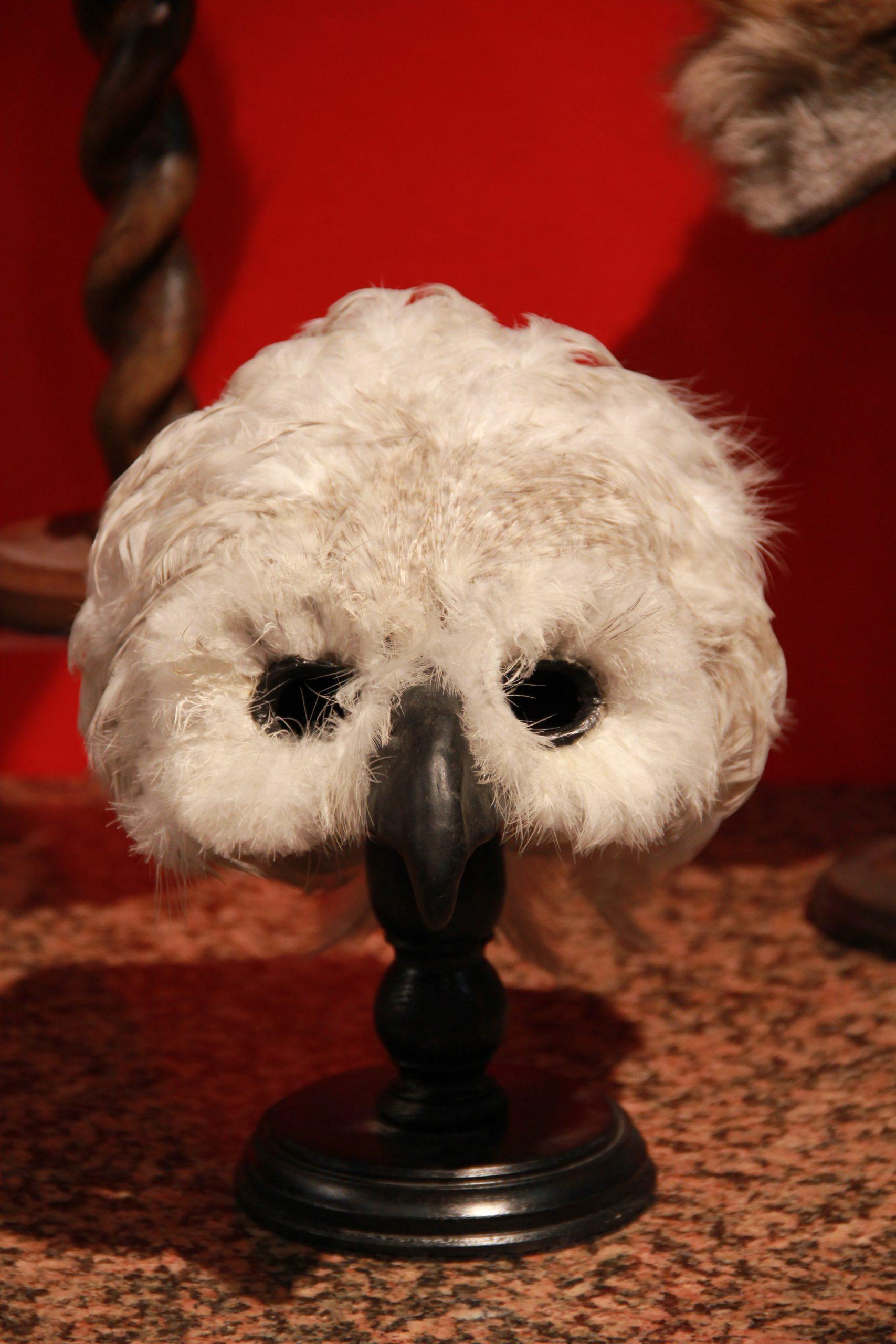 Máscaras de animales 