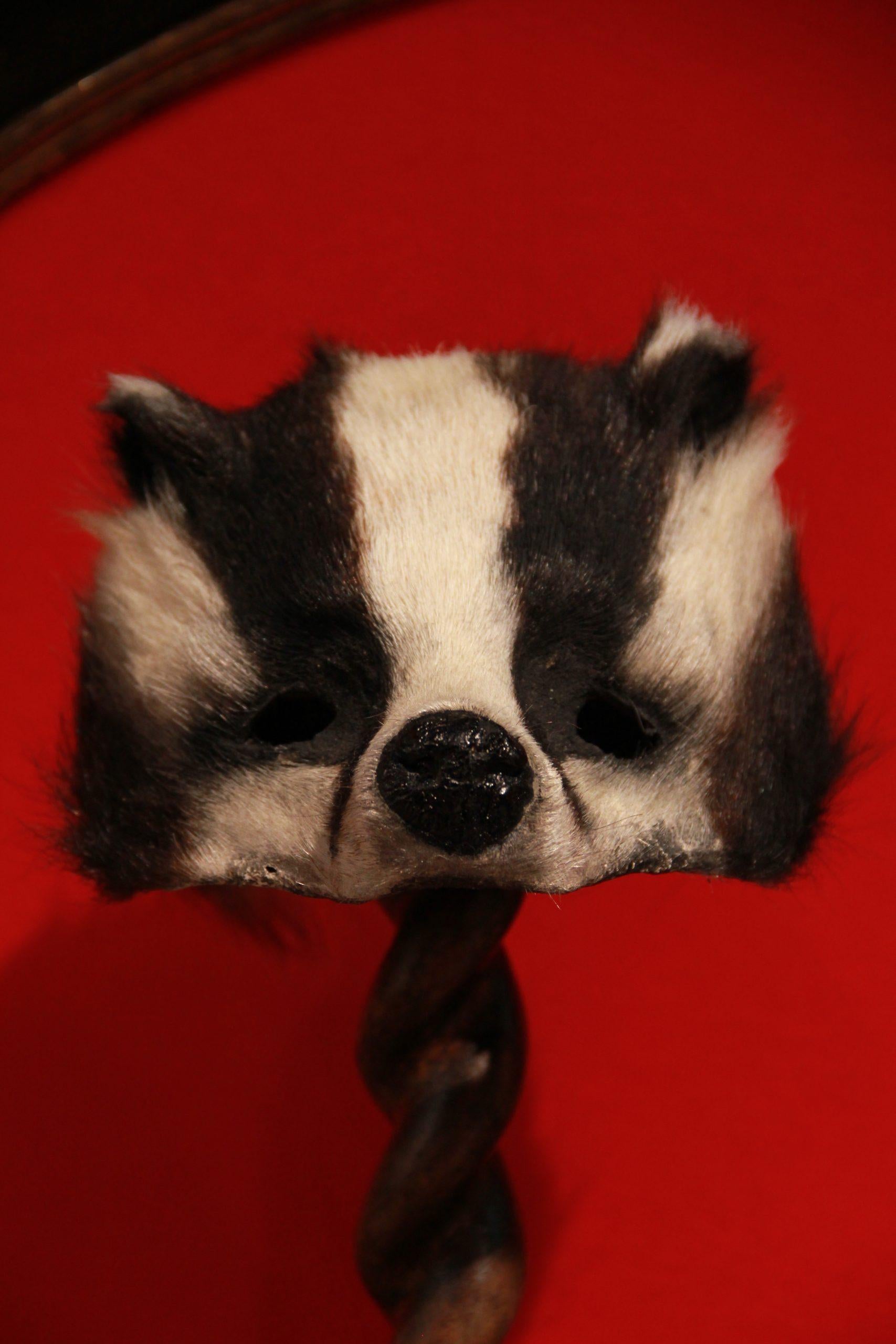 Máscaras de animales 