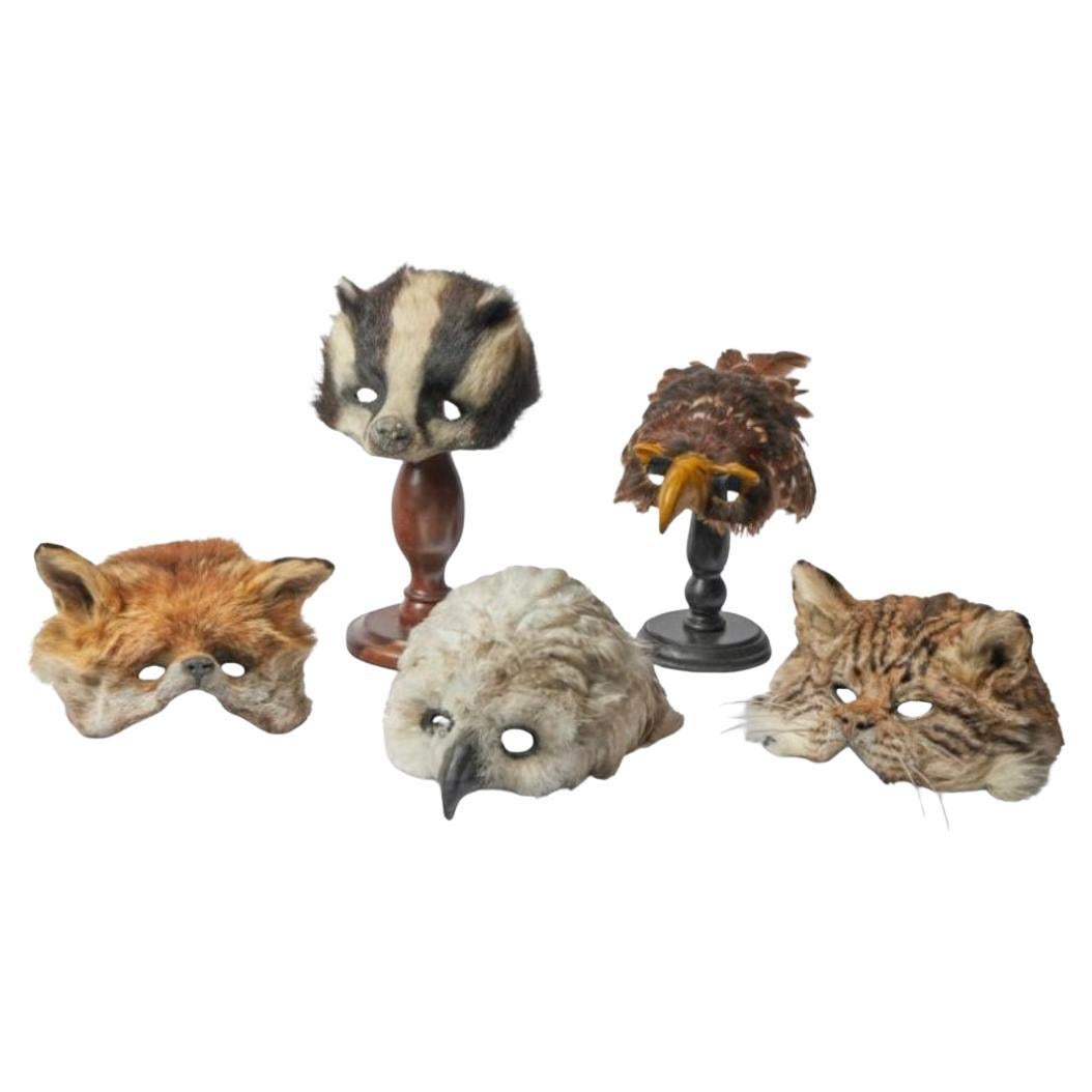 Máscaras de animales "Wild Things" Máscaras de animales de James Perkins Siglo XX en venta