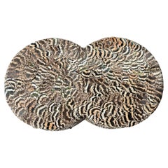 "Animal Mix" Lacquered Double Circle Box