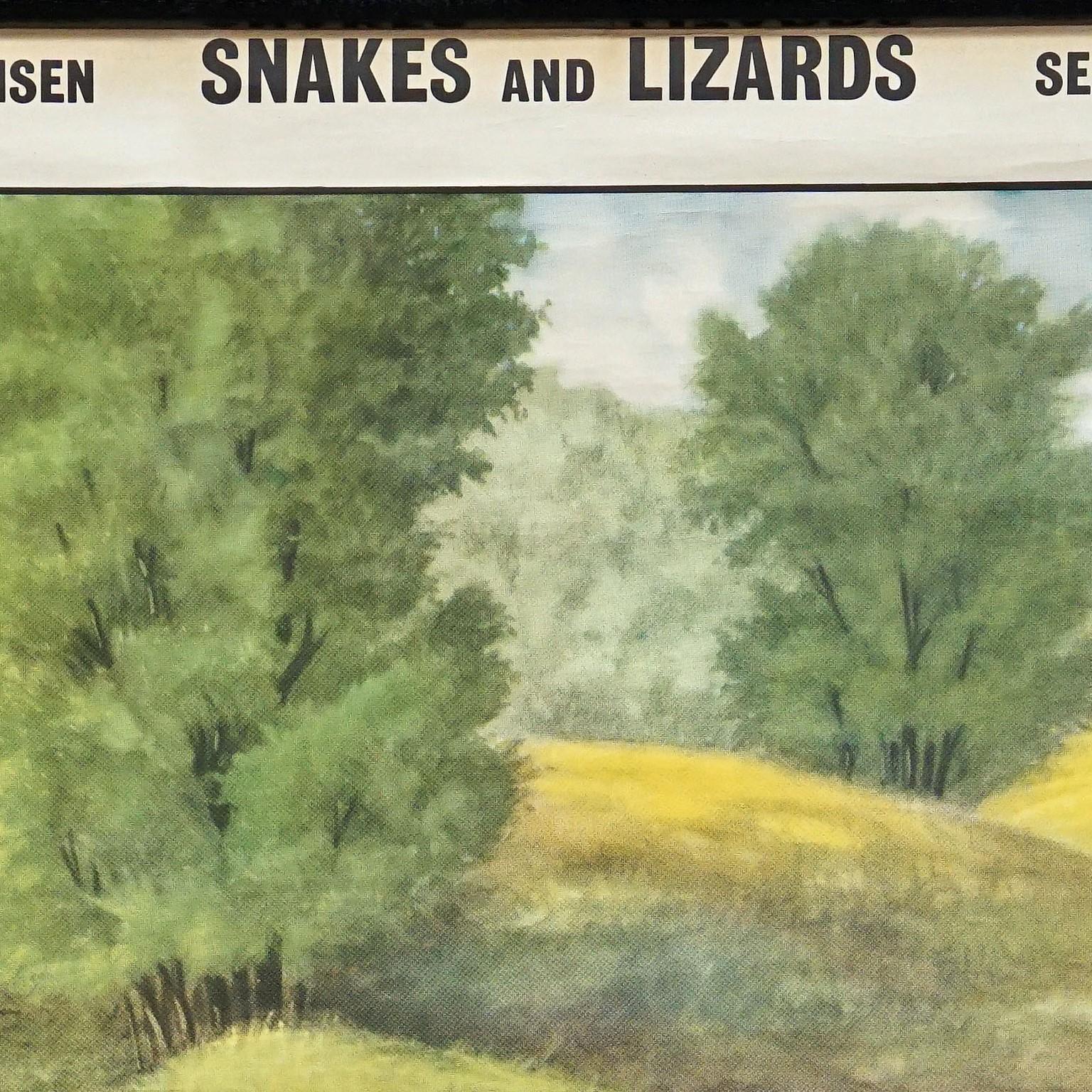 Rollbare Tier-Wandtafel, Vintage, Schlangen und Lizards im Zustand „Gut“ im Angebot in Berghuelen, DE