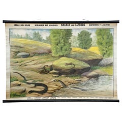 Rollbare Tier-Wandtafel, Vintage, Schlangen und Lizards