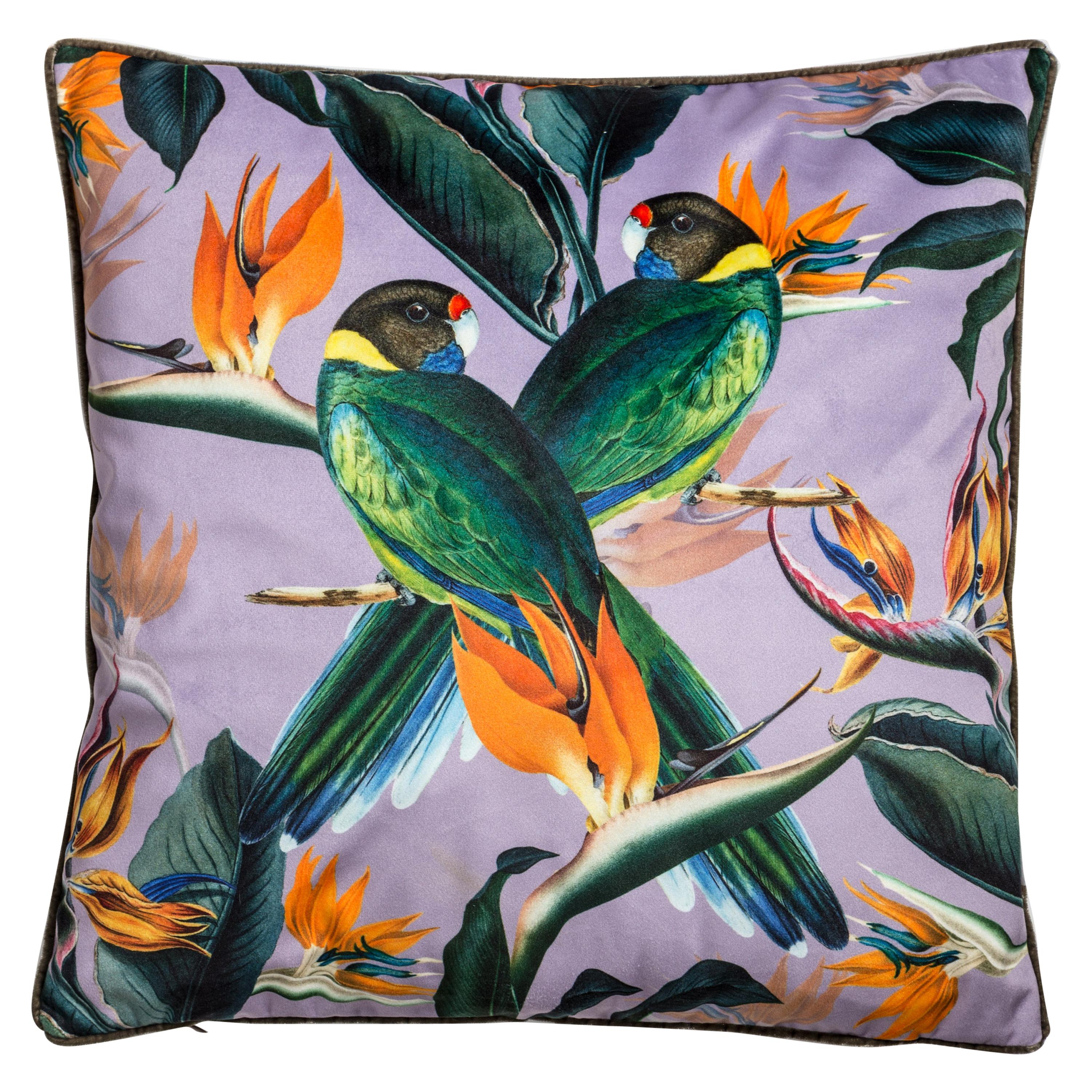 Animalia, Parrots, Contemporary Velvet Printed Pillow by Vito Nesta