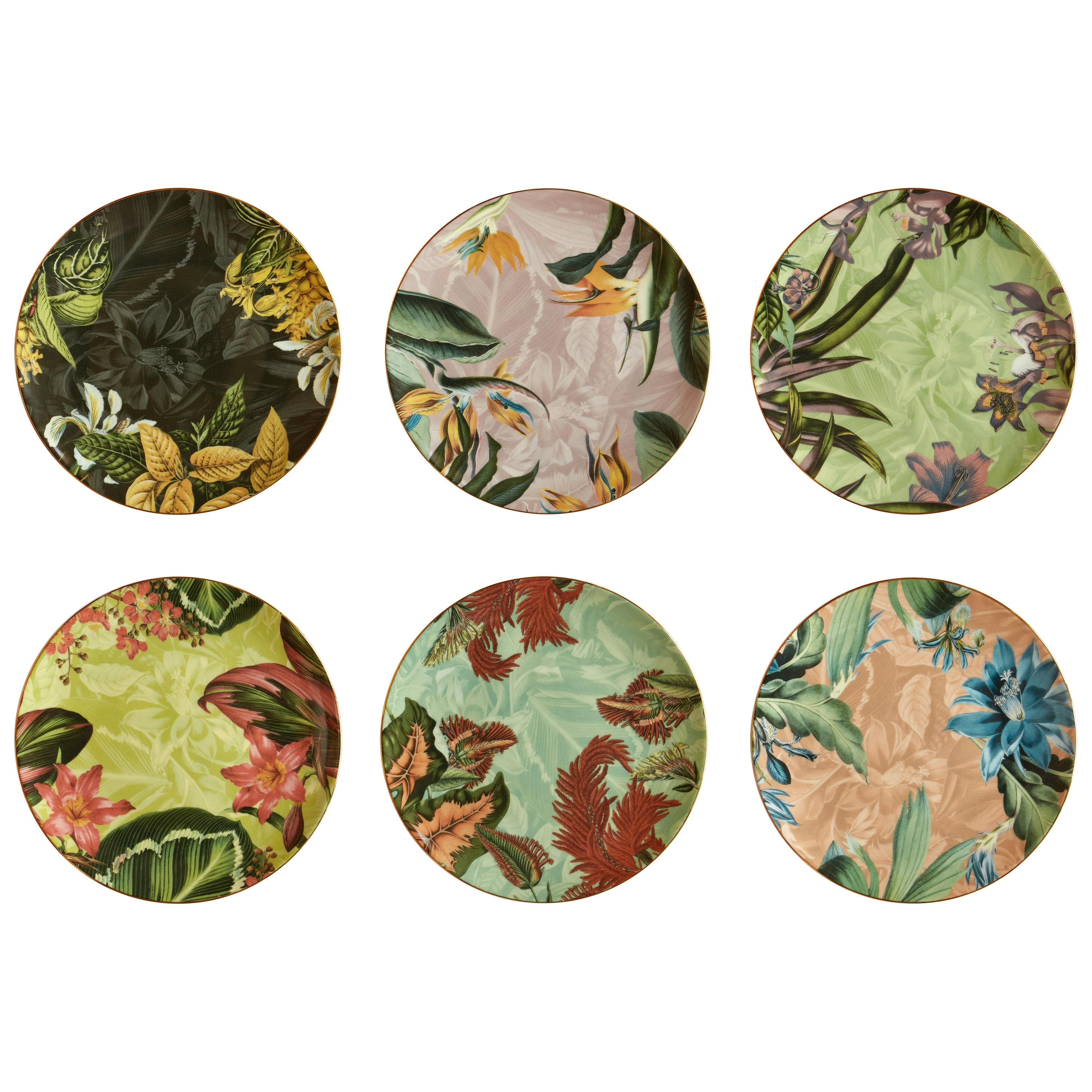 Animalia, Six Contemporary Porcelain Dessert Plates with Decorative Design