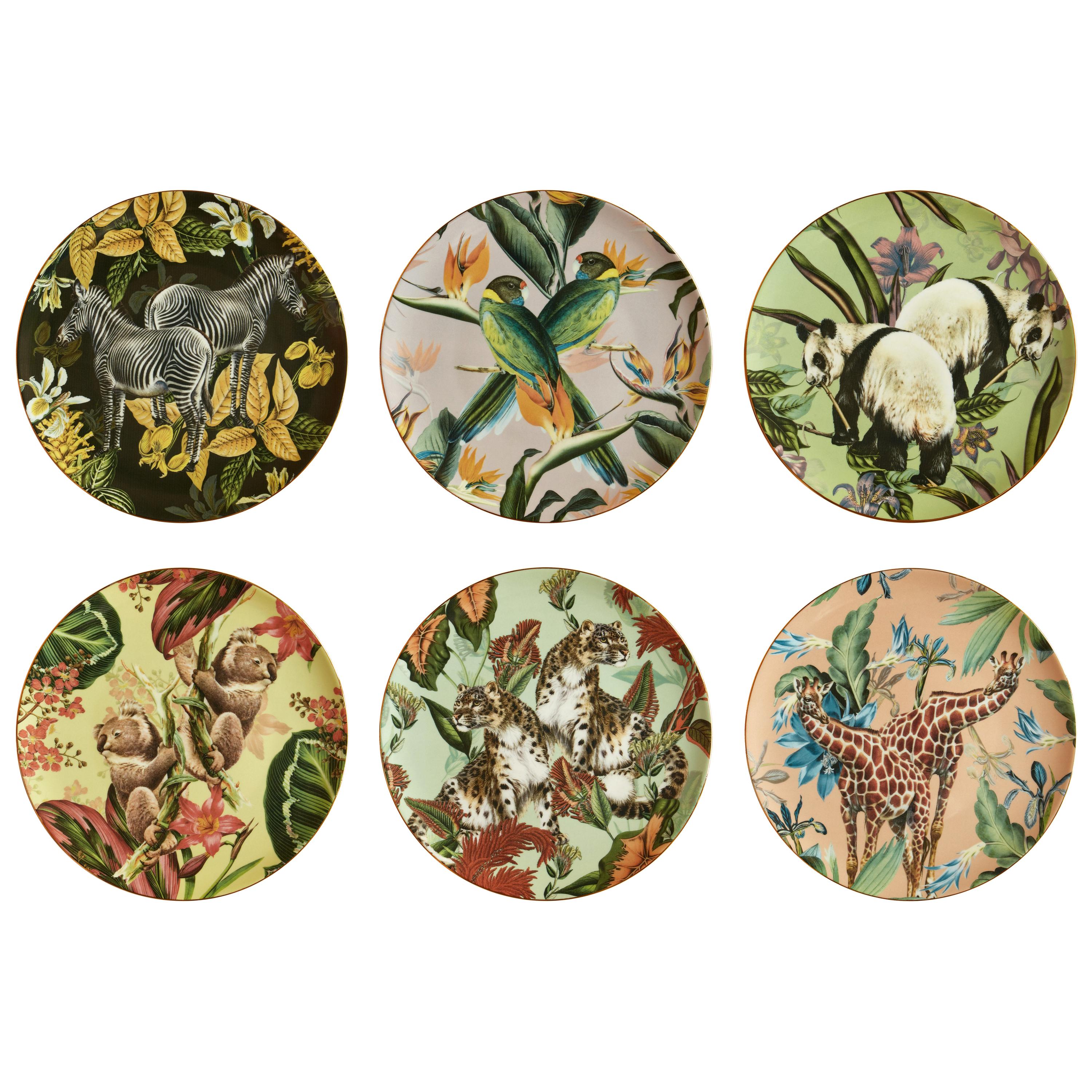 Animalia, Six Contemporary Porcelain Dinner Plates with Decorative Design For Sale