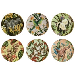Animalia, Six Contemporary Porcelain Dinner Plates with Decorative Design