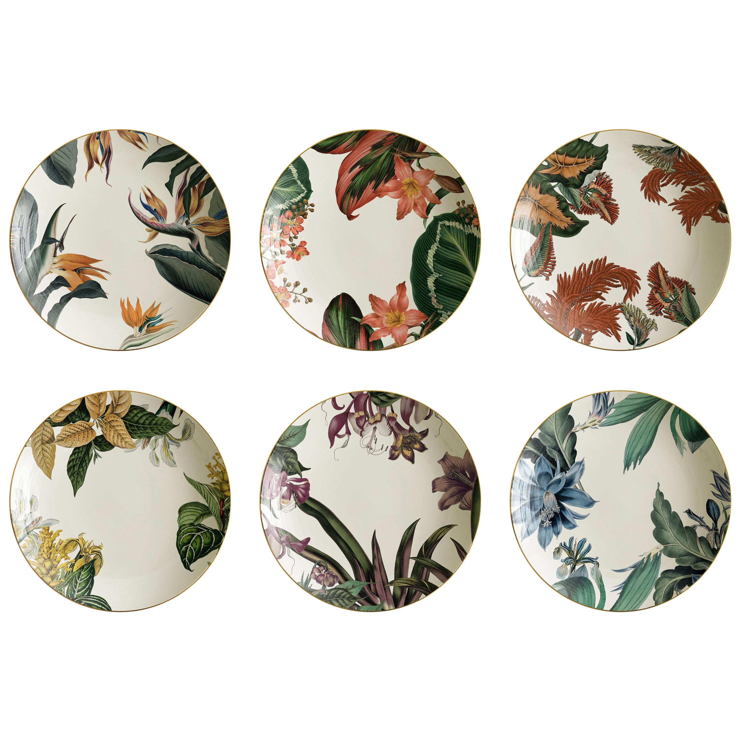 Animalia, Six Contemporary Porcelain Soup Plates with Decorative Design