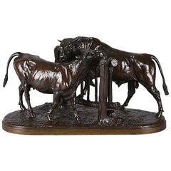 Animalier Bronze Group "Taureau et Vache" by Isidore Bonheur