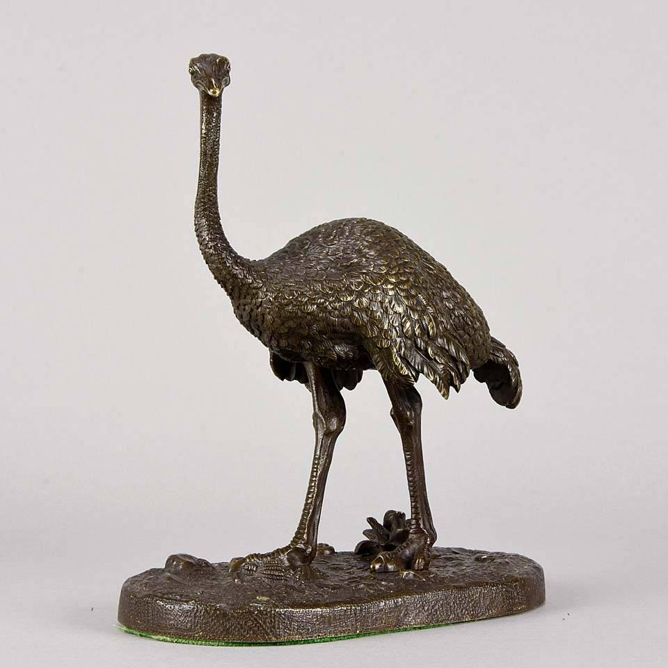 A very rare late 19th century French Animalier bronze study of a standing ostrich, the detailed feathering chased with extremely Fine precision, the flightless giant bird modelled with perfect realism and character. Raised on a naturalistic base and
