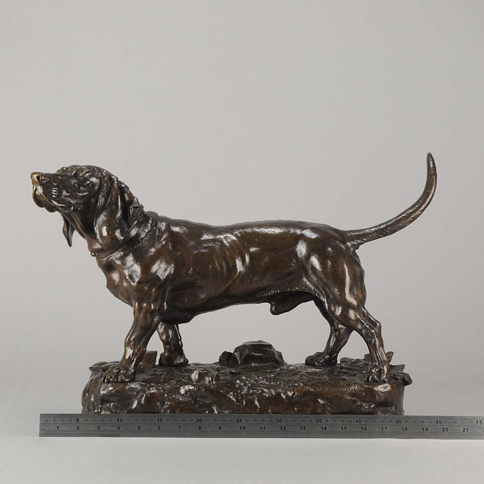 Animalier French Bronze 'Standing Basset' by Jules Moigniez 4