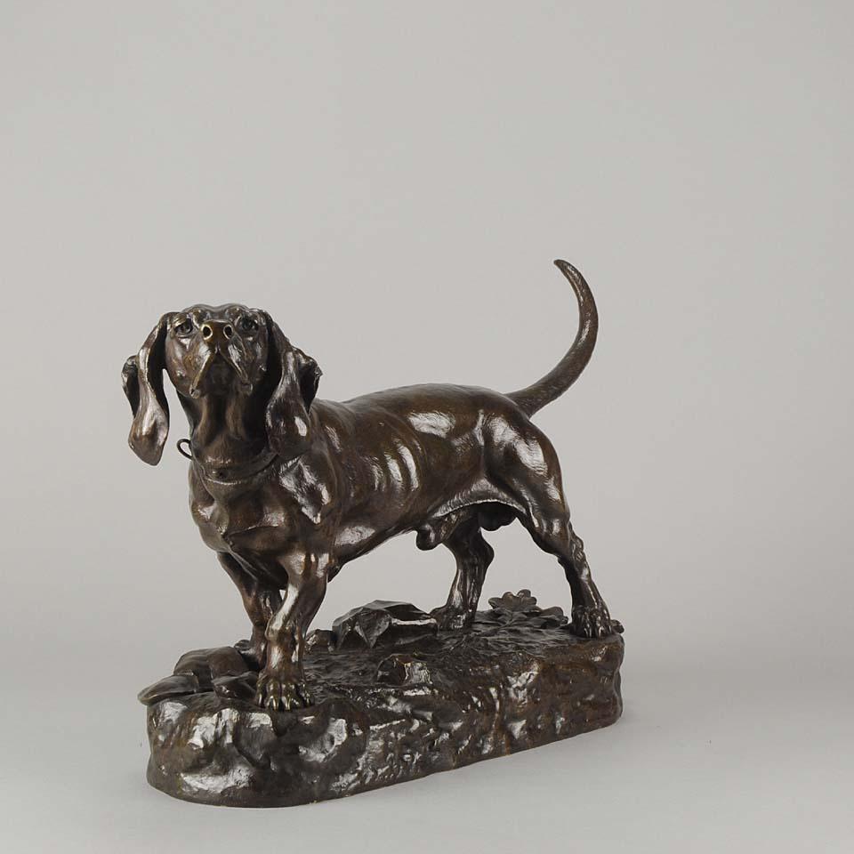 A very impressive large French Animaliers bronze study of a standing basset hound with excellent rich brown patina and finely finished hand chased surface detail, raised on a naturalistic base and signed J Moigniez.