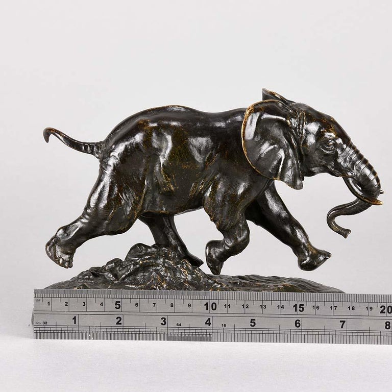 Animalier Bronze Study Entitled 'Elephant Du Senegal' by Antoine L Barye at  1stDibs