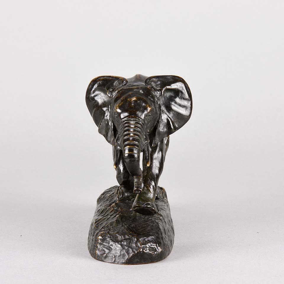 A dramatic late 19th century animalier bronze study of a charging elephant modelled with wonderful intuition and skill. The surface has rich brown patination with a golden hue and excellent hand chased detail, signed Barye and inscribed F