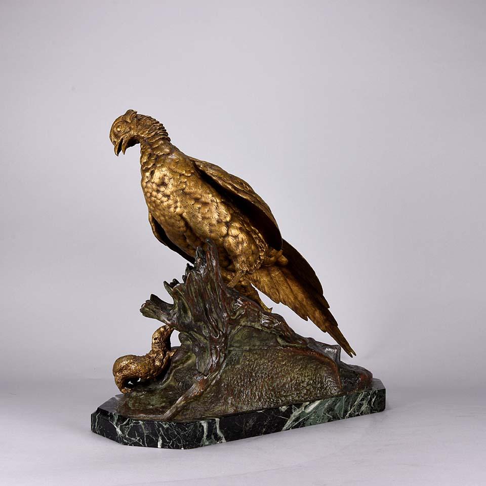 bronze pheasant