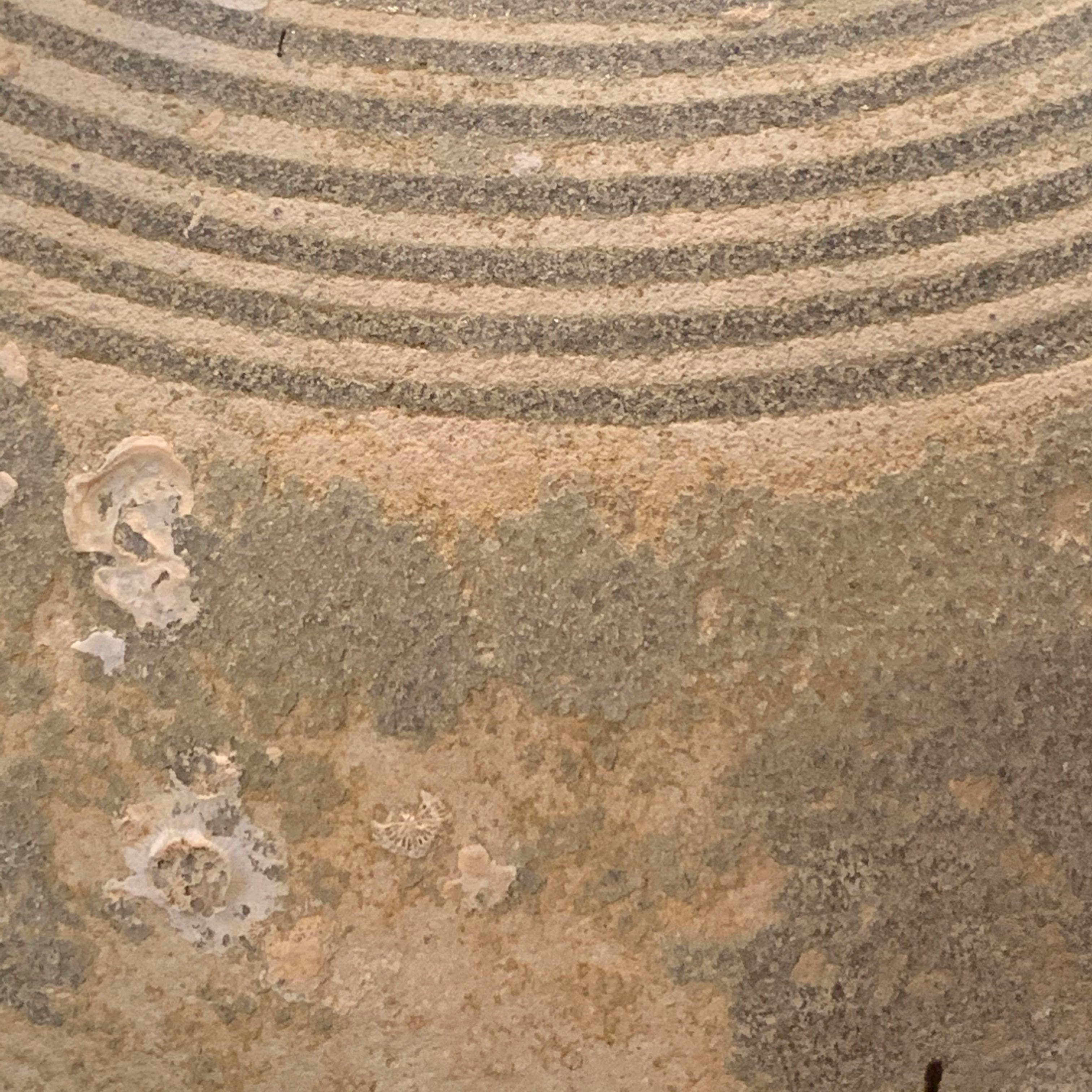 Weathered Neutral Color Shipwrecked Terra Cotta Pot, Vietnam, 15th Century 3