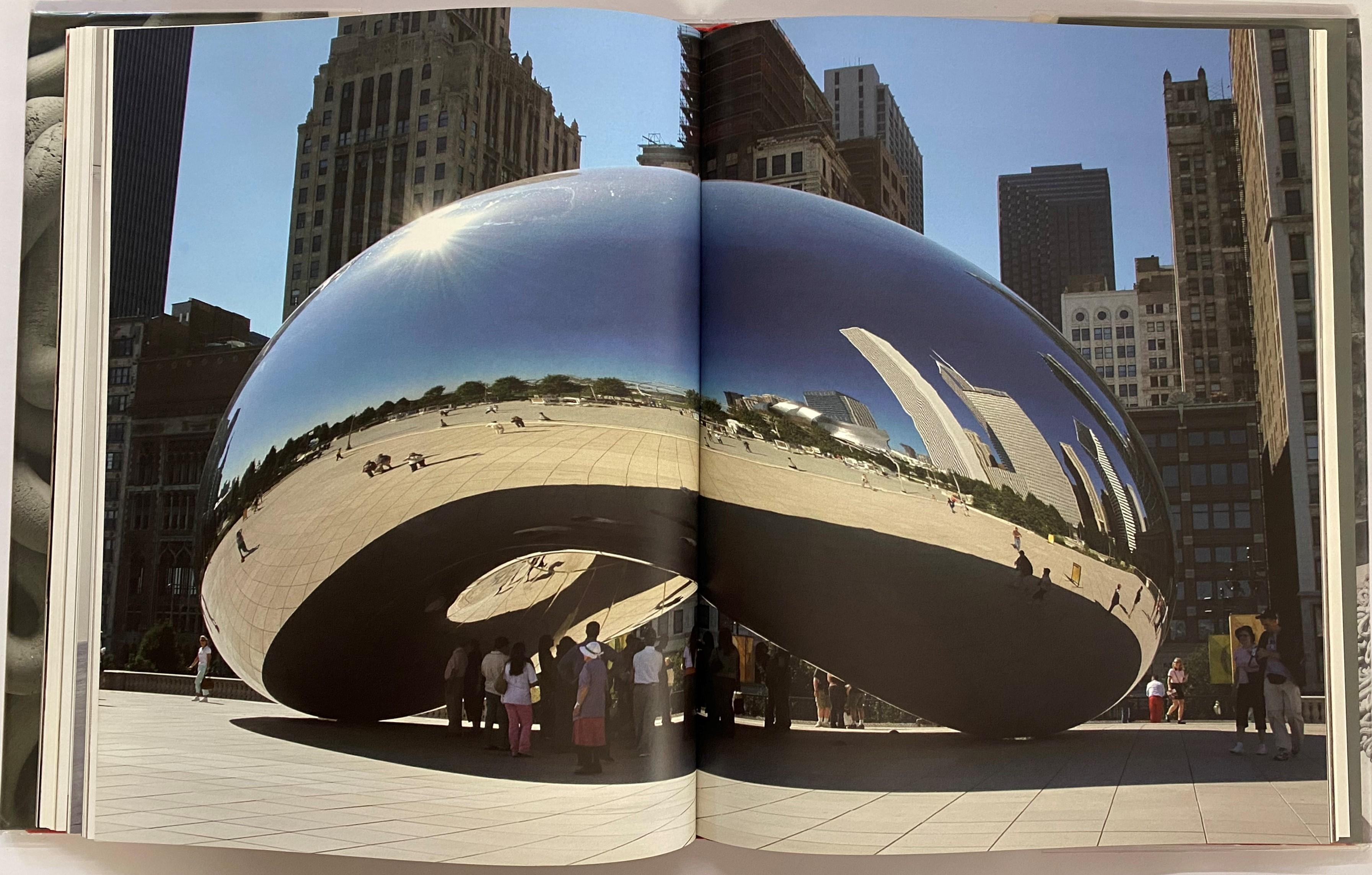 Anish Kapoor, (Book) For Sale 6