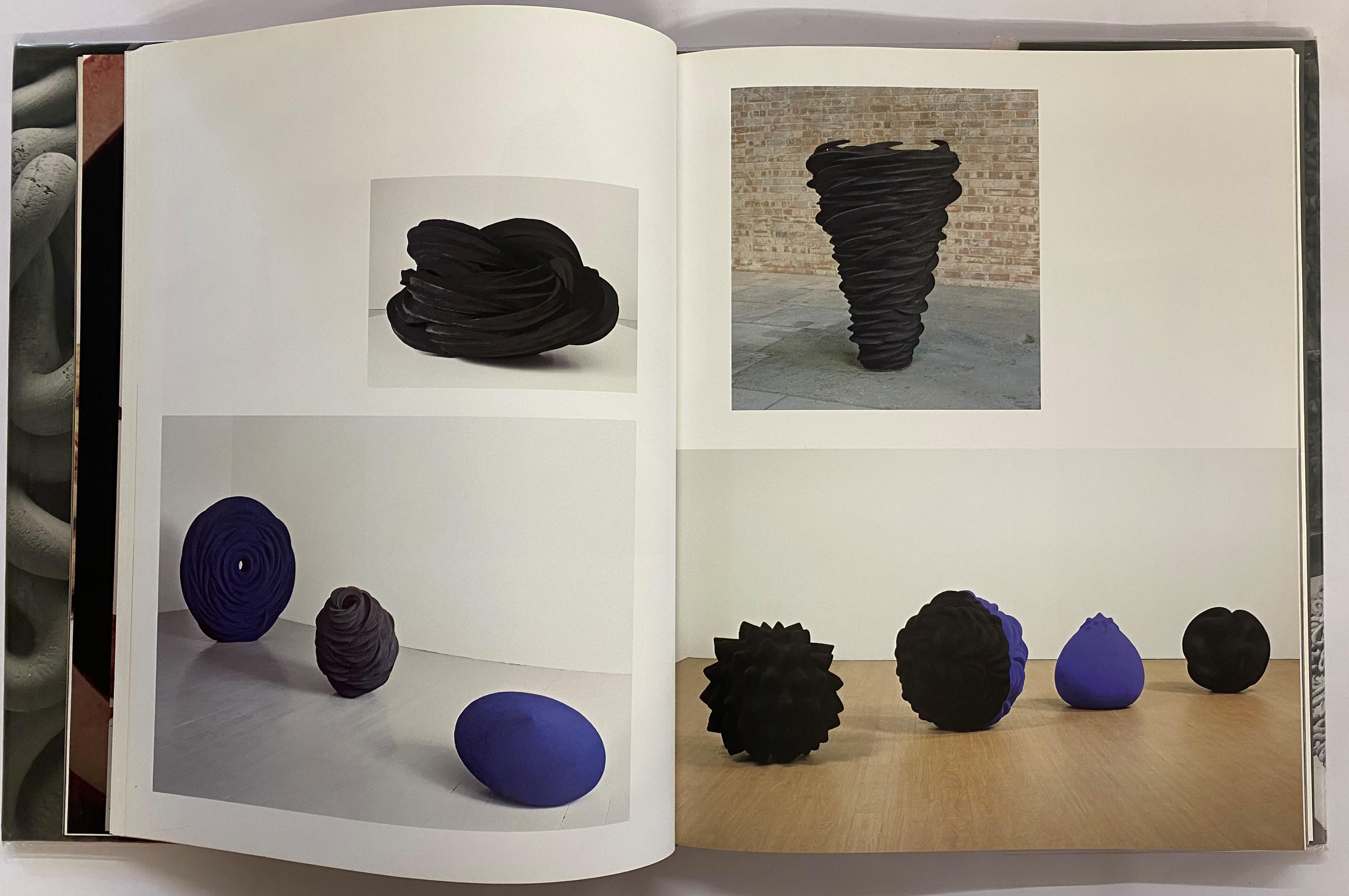 anish kapoor book