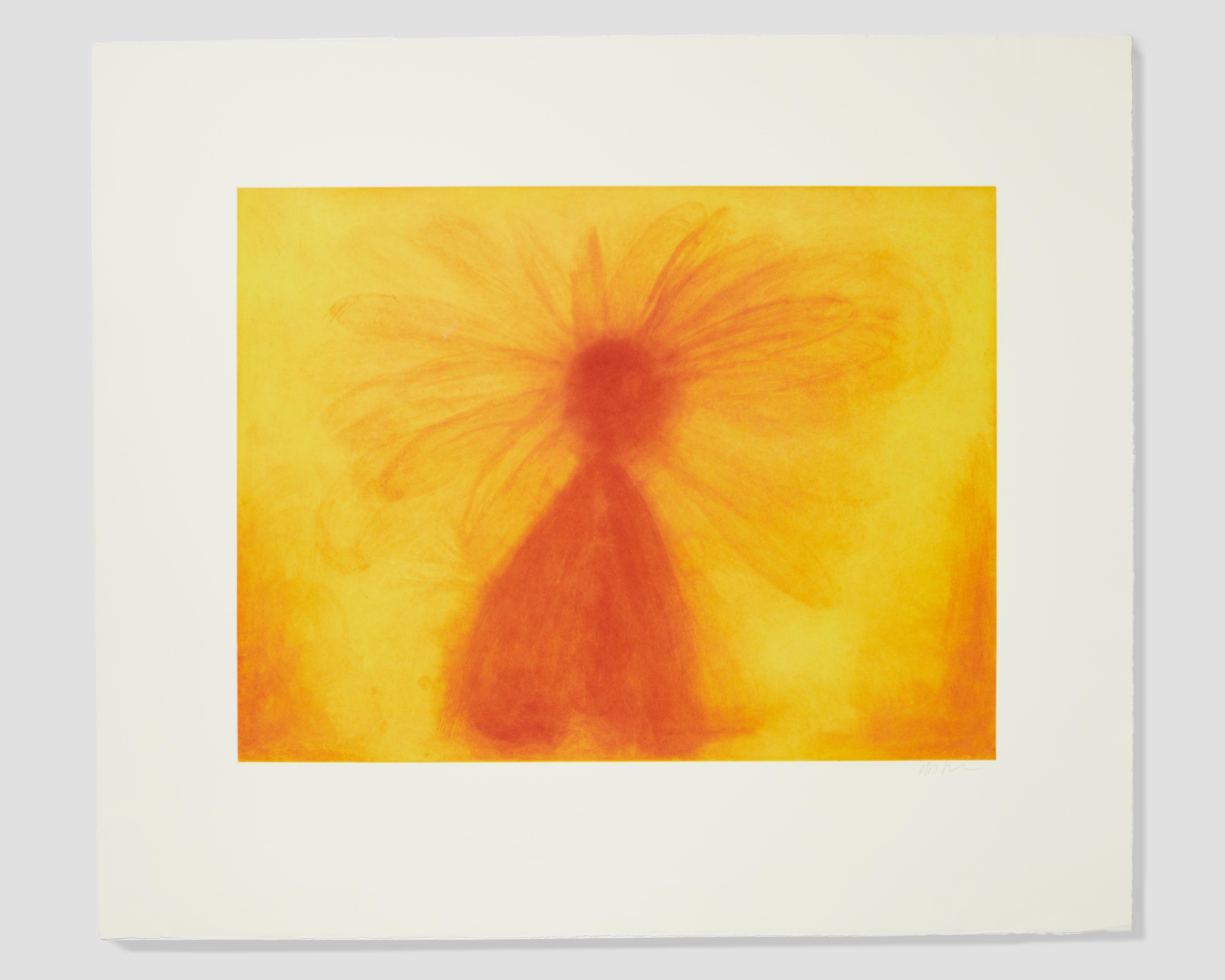 Anish Kapoor Print - Untitled 1, from 12 Etchings