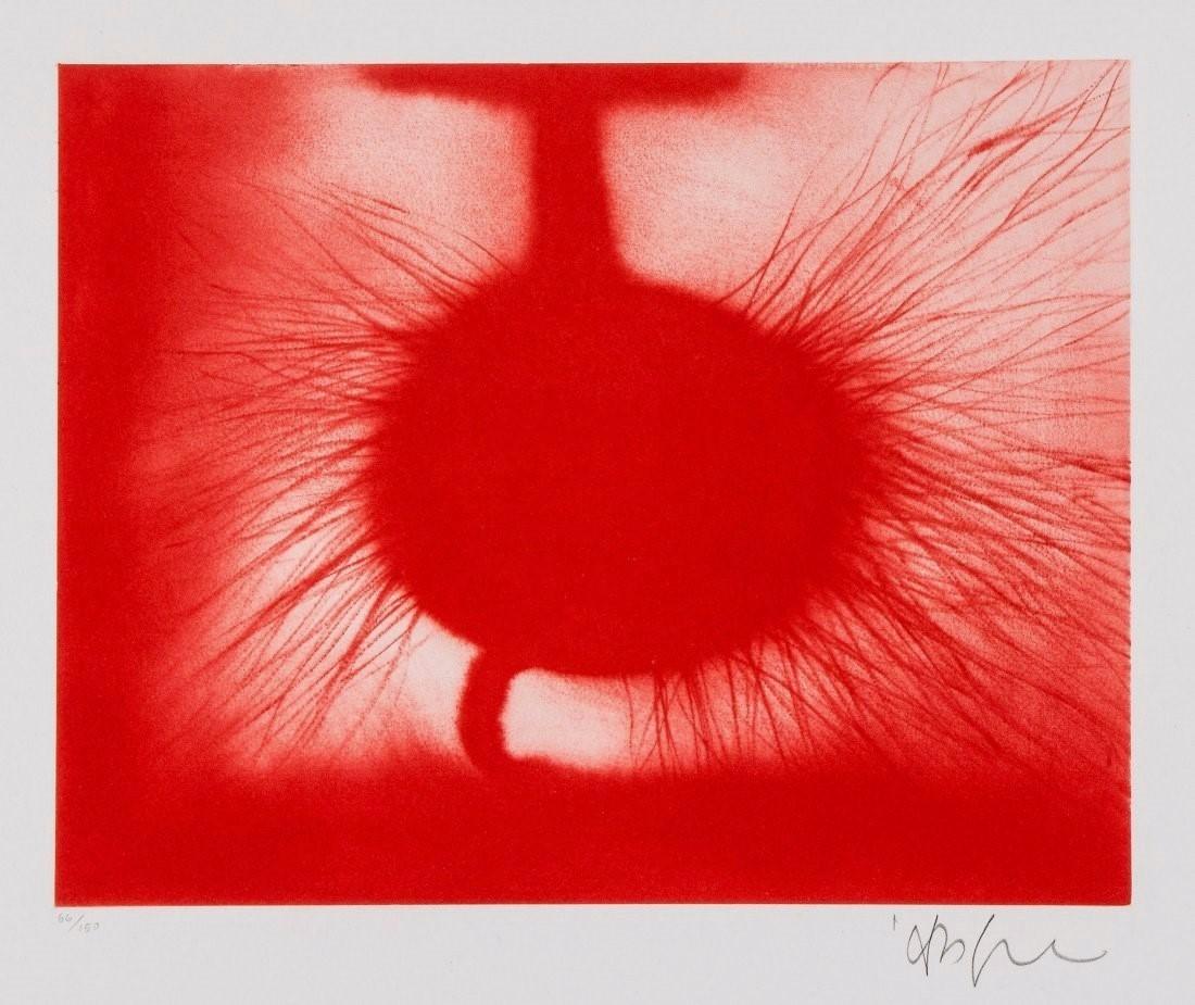 An explosion of color representing Kapoor best work, Untitled, 2014 was created by the artist as an original etching measuring 12 ¾ x 15 1/8 in. (32.4 x 38.4 cm) unframed.  This original print is hand-signed by the artist in pencil, and numbered,