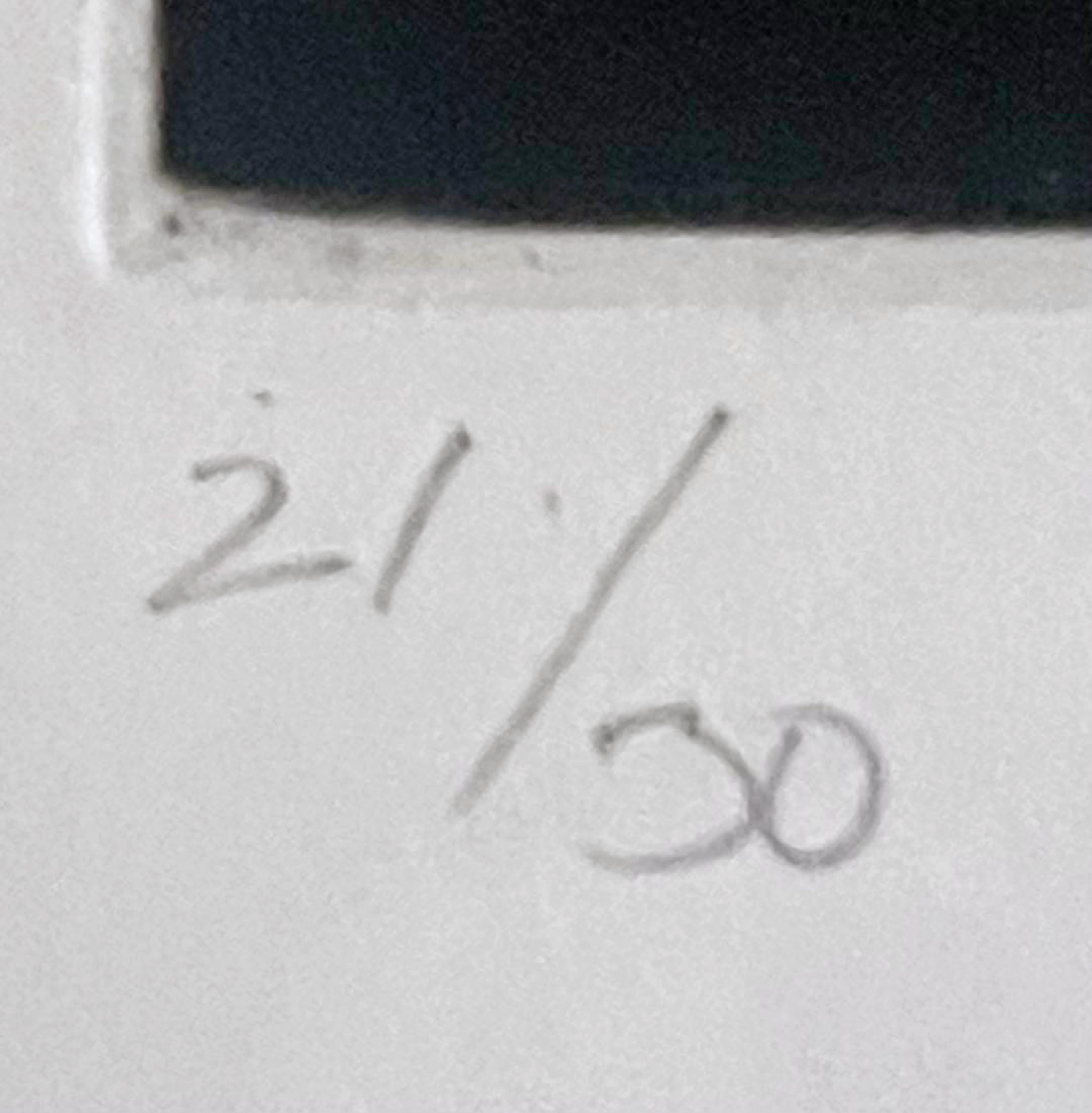 Anish Kapoor
Sans titre (avec boucles), extrait de 15 eaux-fortes (de la collection de l'Equitable Assurance Gallery), 1996
Gravure sur papier Zerkall
Signée au crayon et numérotée 21/30 au recto ; porte un Label de la Equitable Life Assurance