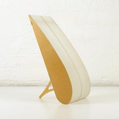 Anish Kapoor 'Teardrop' Lamp, 1999 for Tate Gallery, Beautiful