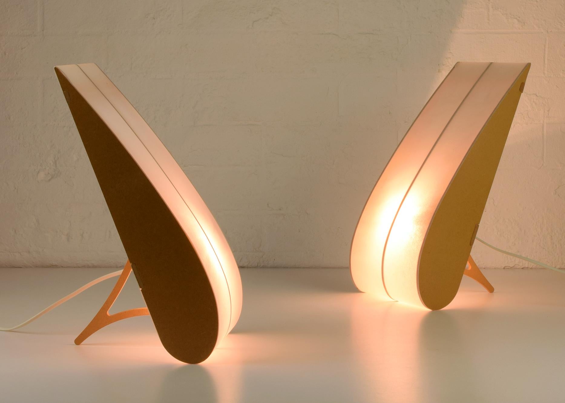 Anish Kapoor 'Teardrop' Lamp, 1999 for Tate Gallery, Beautiful In Excellent Condition In London, GB