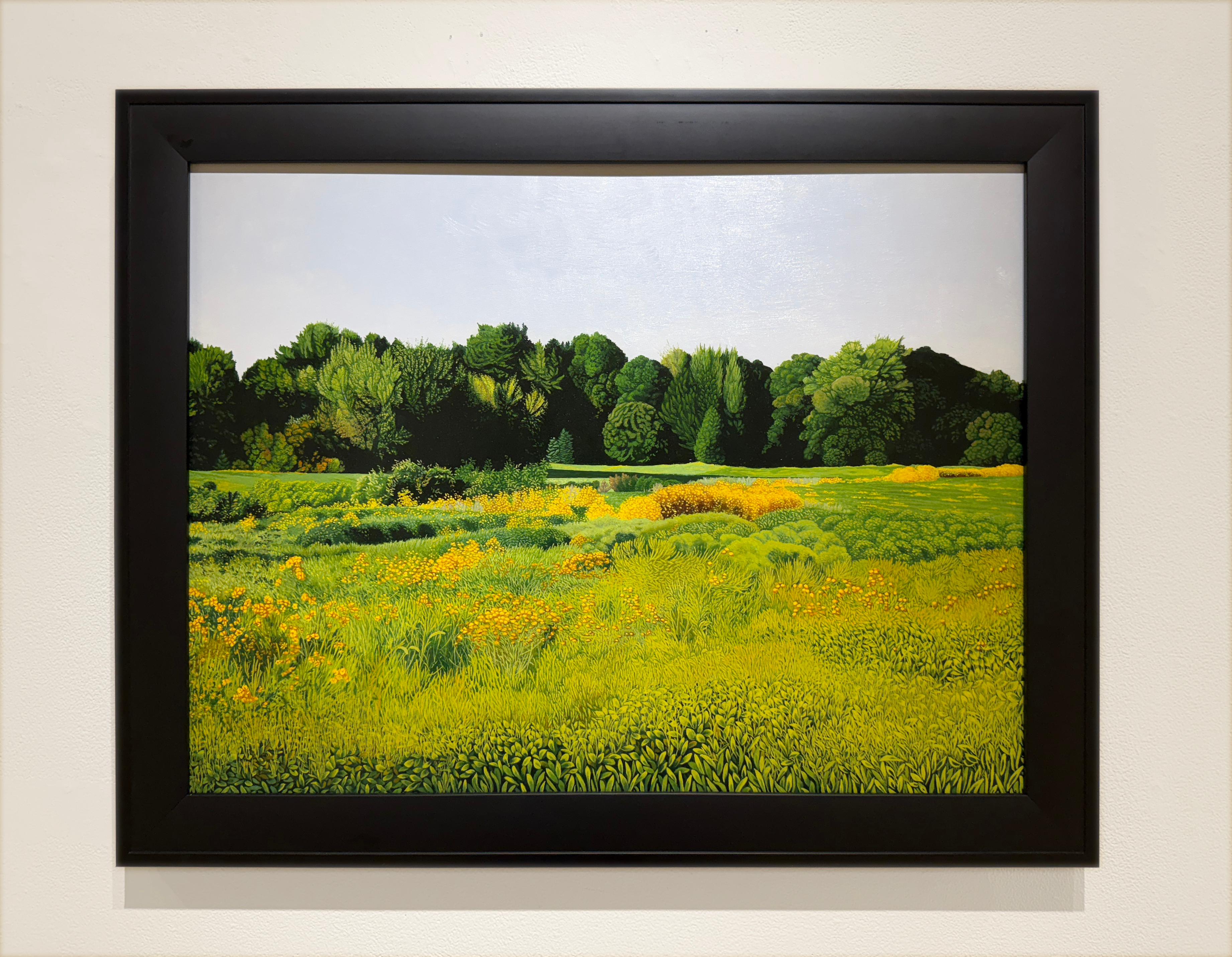 UN CAMPO DE GIRASOLES SILVESTRES - Realismo / Paisaje / Floral - Painting de Anita Mazzucca