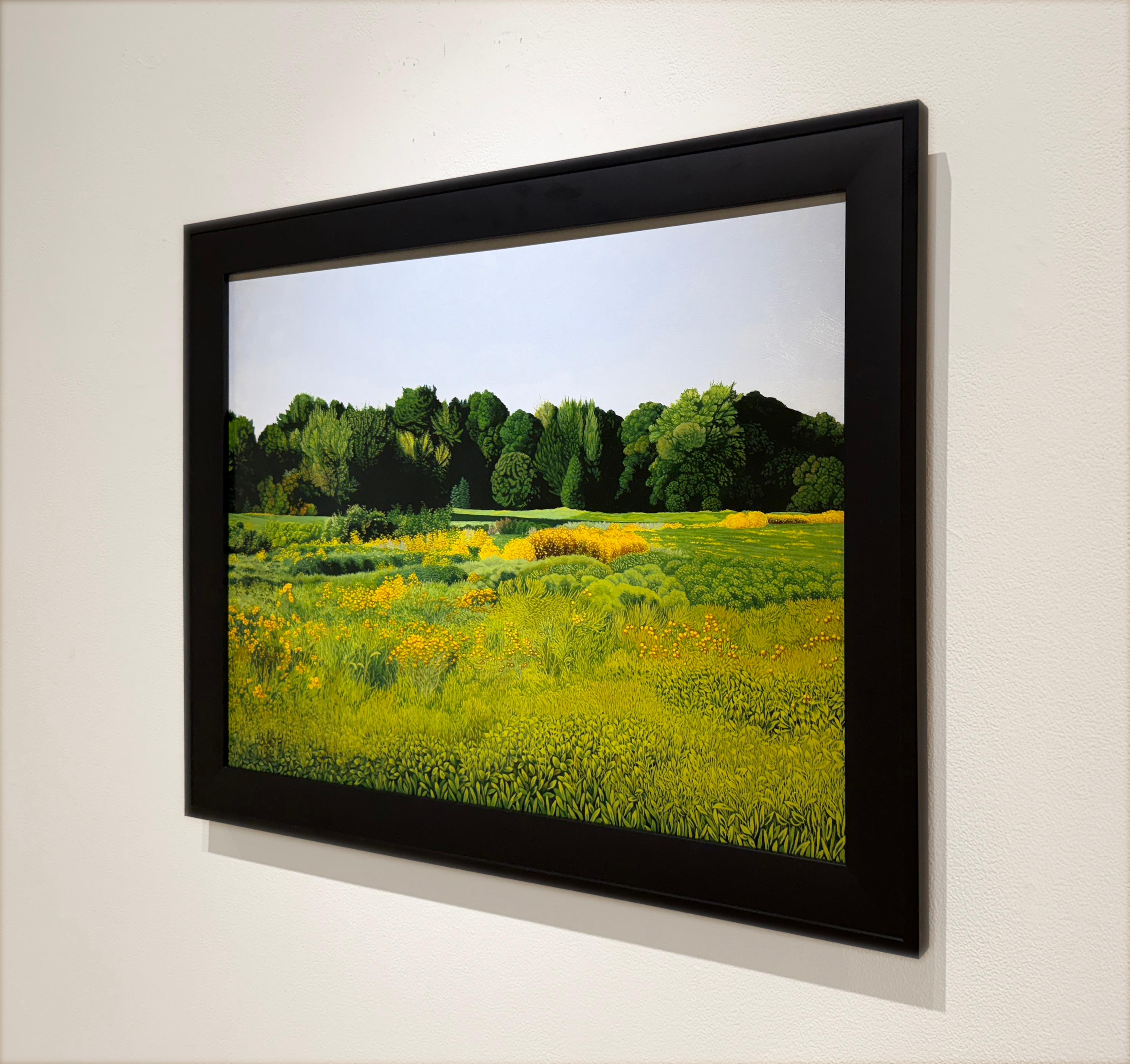 UN CAMPO DE GIRASOLES SILVESTRES - Realismo / Paisaje / Floral - Painting Contemporáneo de Anita Mazzucca