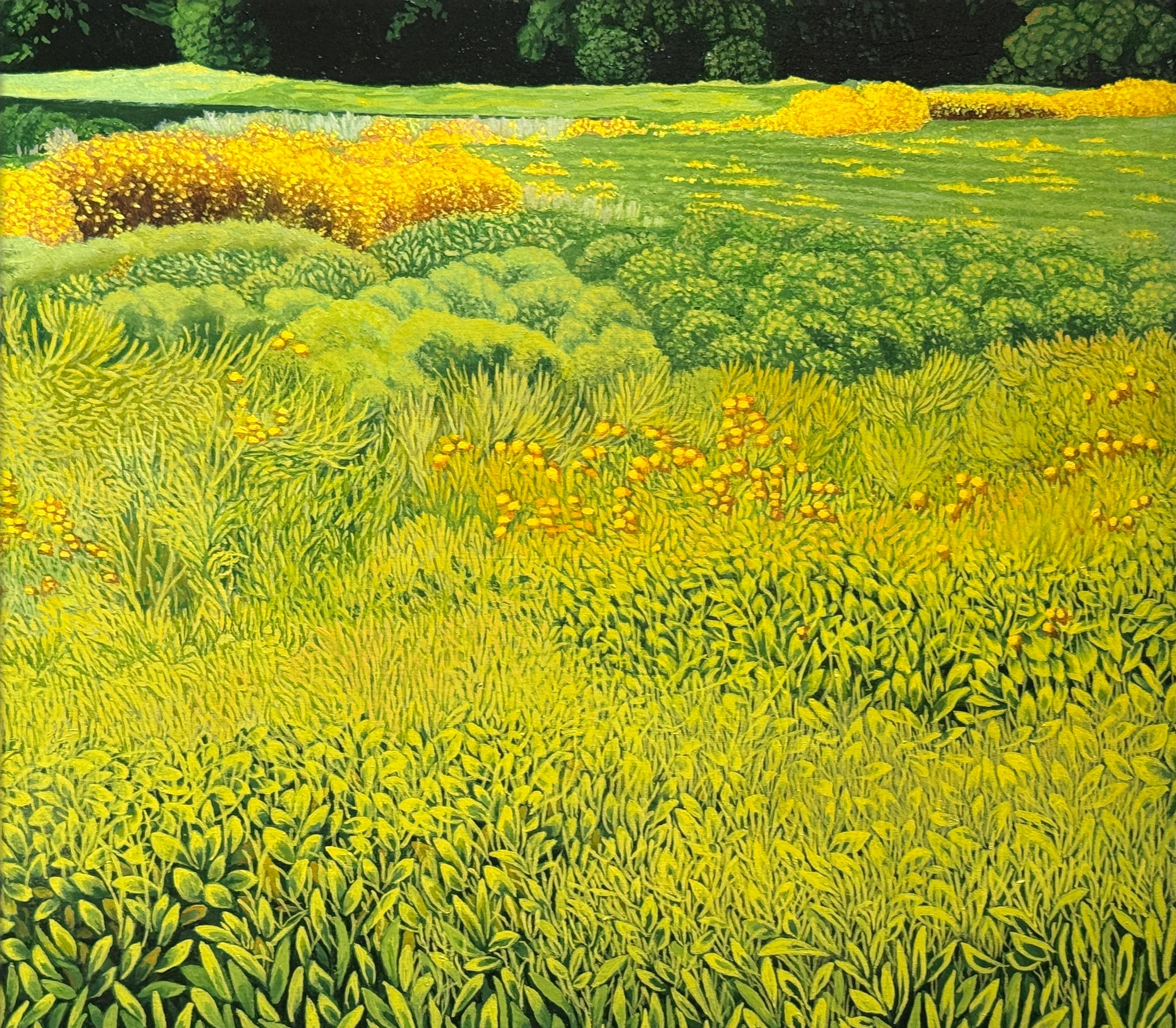 UN CAMPO DE GIRASOLES SILVESTRES - Realismo / Paisaje / Floral - Landscape Painting Marrón de Anita Mazzucca