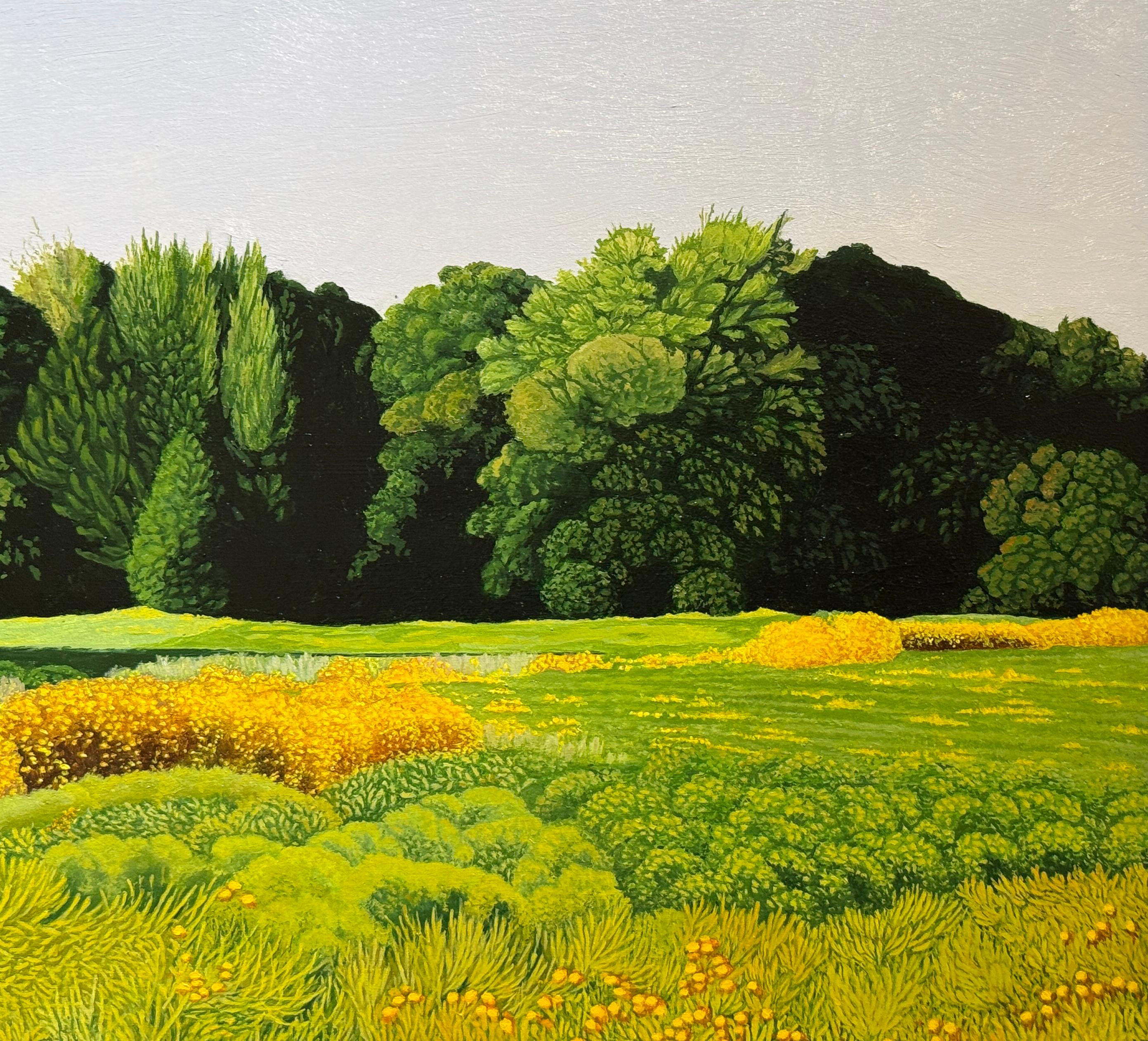 Anita Mazzucca (1945, Nueva Jersey) se licenció en 1967 en el Pratt Institute de Nueva York. Crea detallados cuadros de paisajes tomados de los parques y tierras de cultivo de su región natal en Nueva Jersey. Sus frondosos árboles y arbustos se