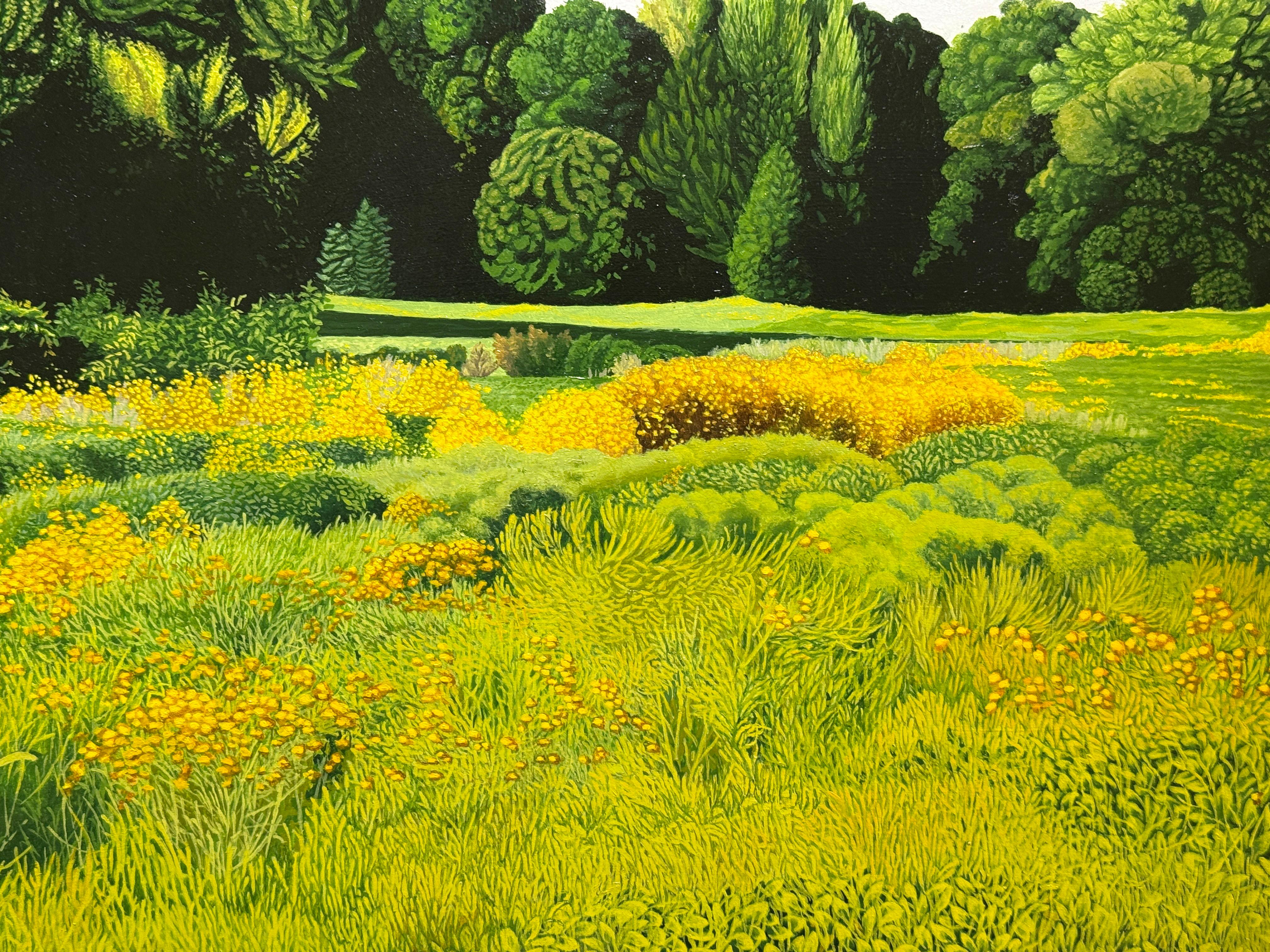UN CAMPO DE GIRASOLES SILVESTRES - Realismo / Paisaje / Floral en venta 1