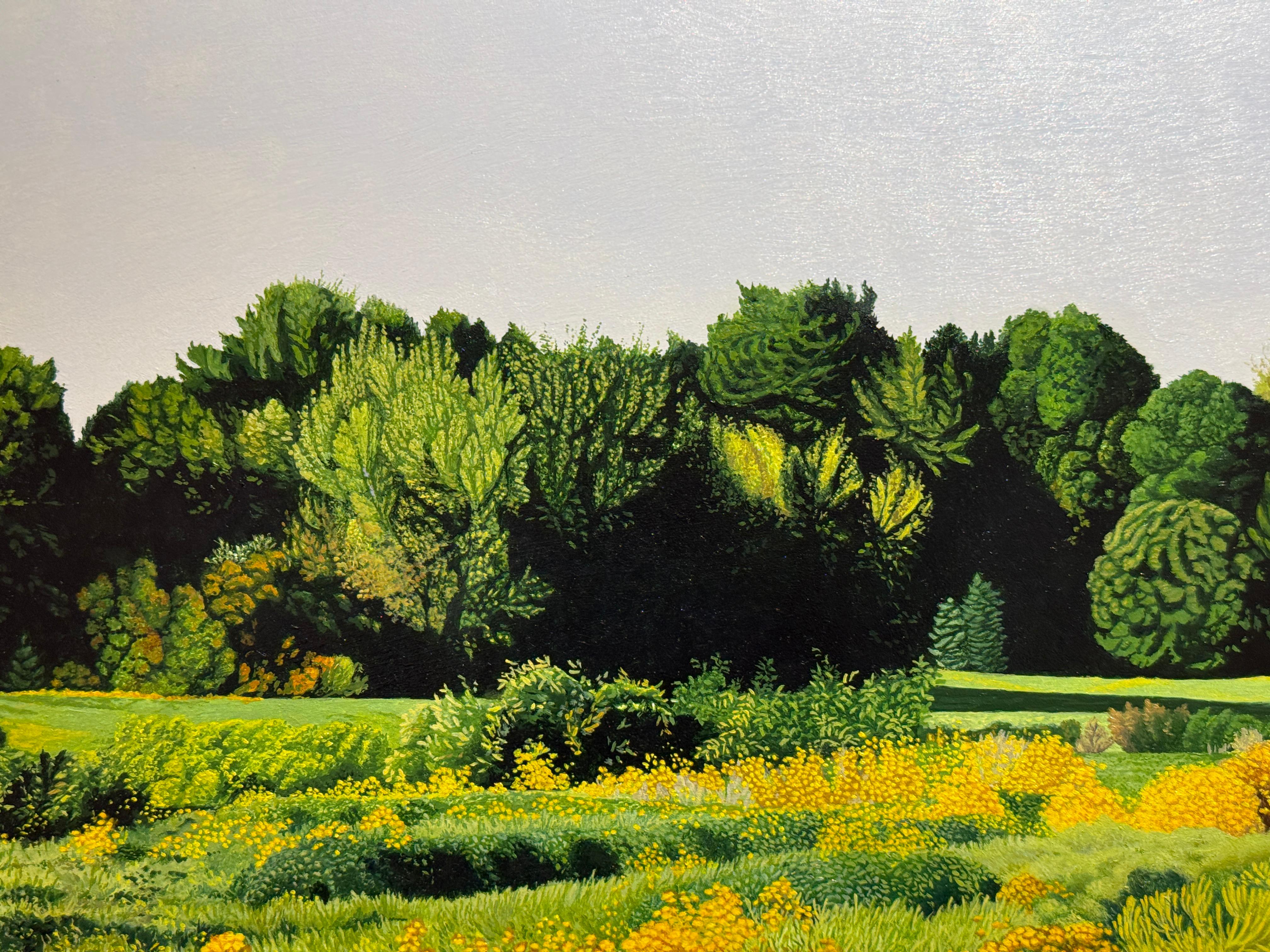 UN CAMPO DE GIRASOLES SILVESTRES - Realismo / Paisaje / Floral en venta 2