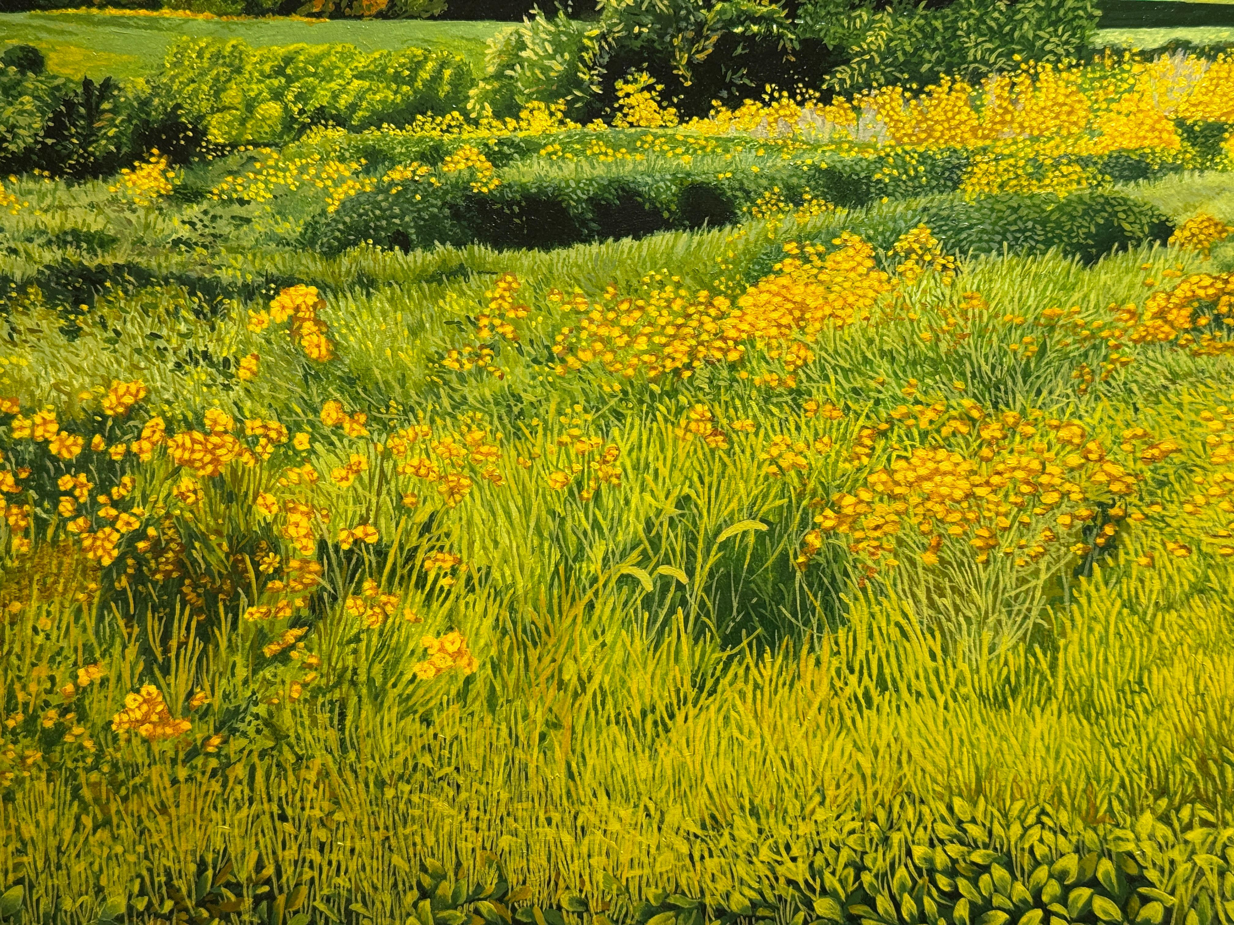 UN CAMPO DE GIRASOLES SILVESTRES - Realismo / Paisaje / Floral en venta 3