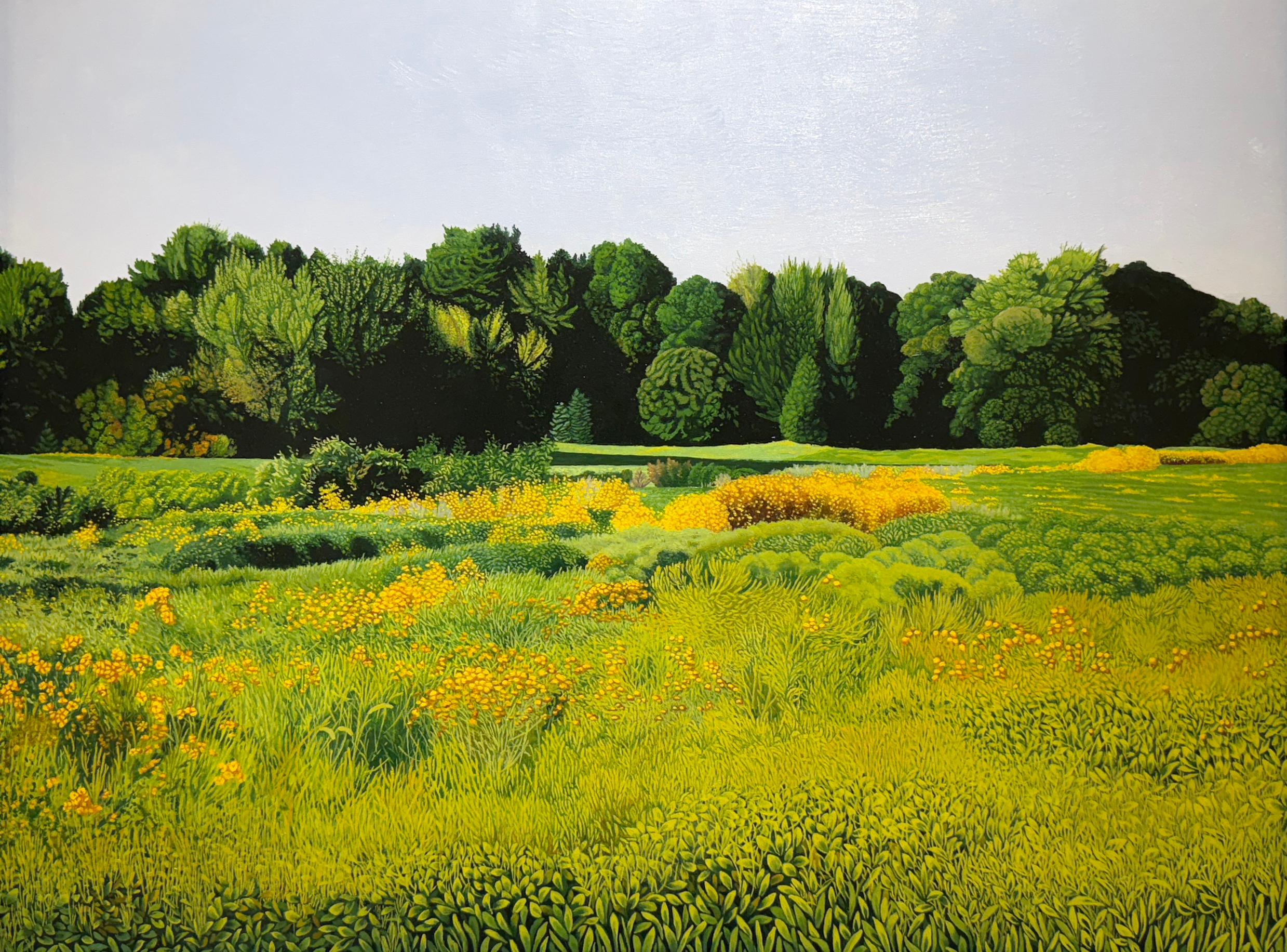 A FIELD OF WILD SUNFLOWERS - Realism / Landscape / Floral