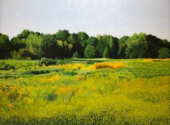 A FIELD OF WILD SUNFLOWERS - Realism / Landscape / Floral