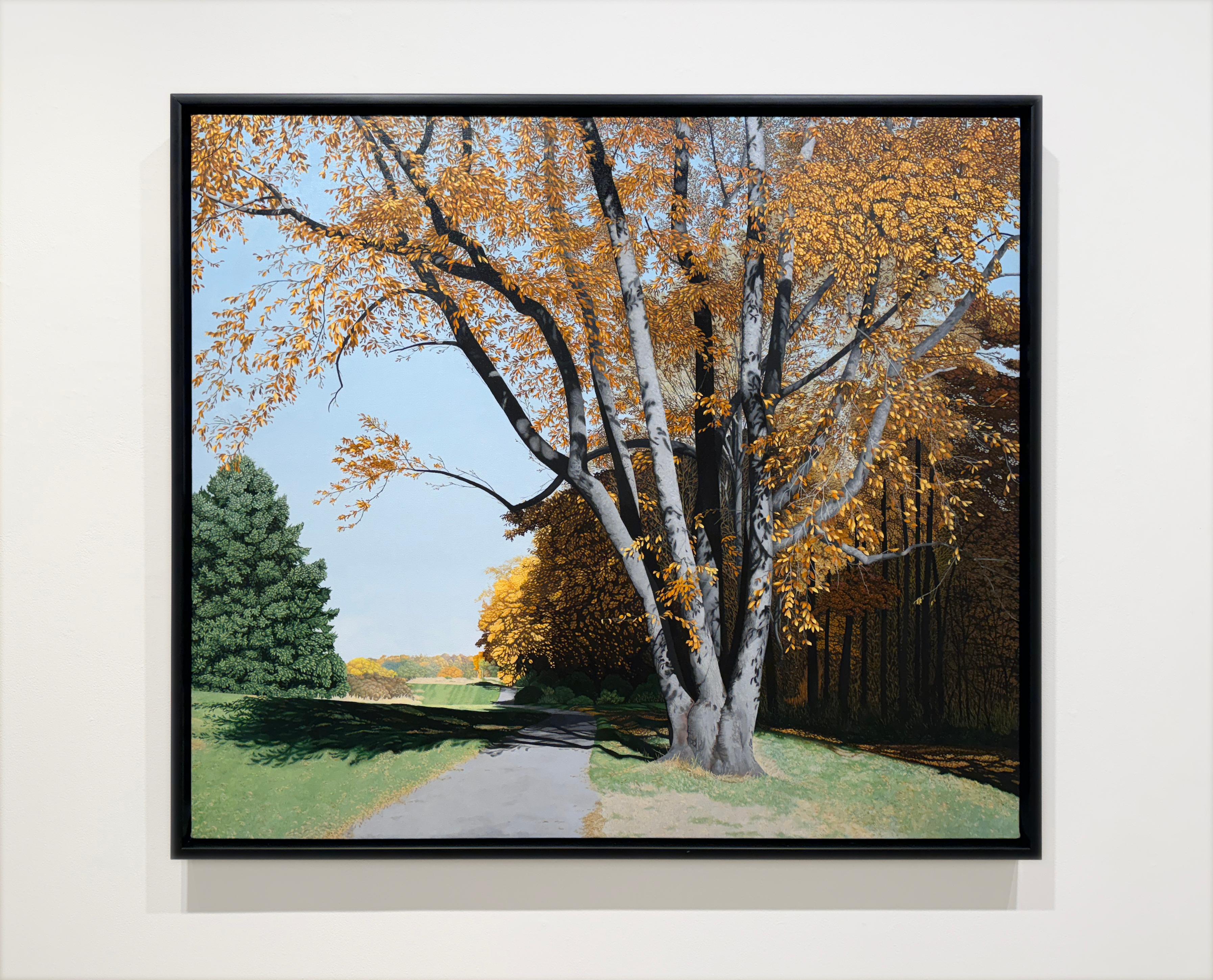 UNA VISTA EN LA DISTANCIA - Paisaje / Otoño / Árboles - Painting de Anita Mazzucca
