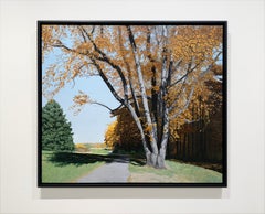 A VIEW IN THE DISTANCE - Landscape / Autumn / Trees