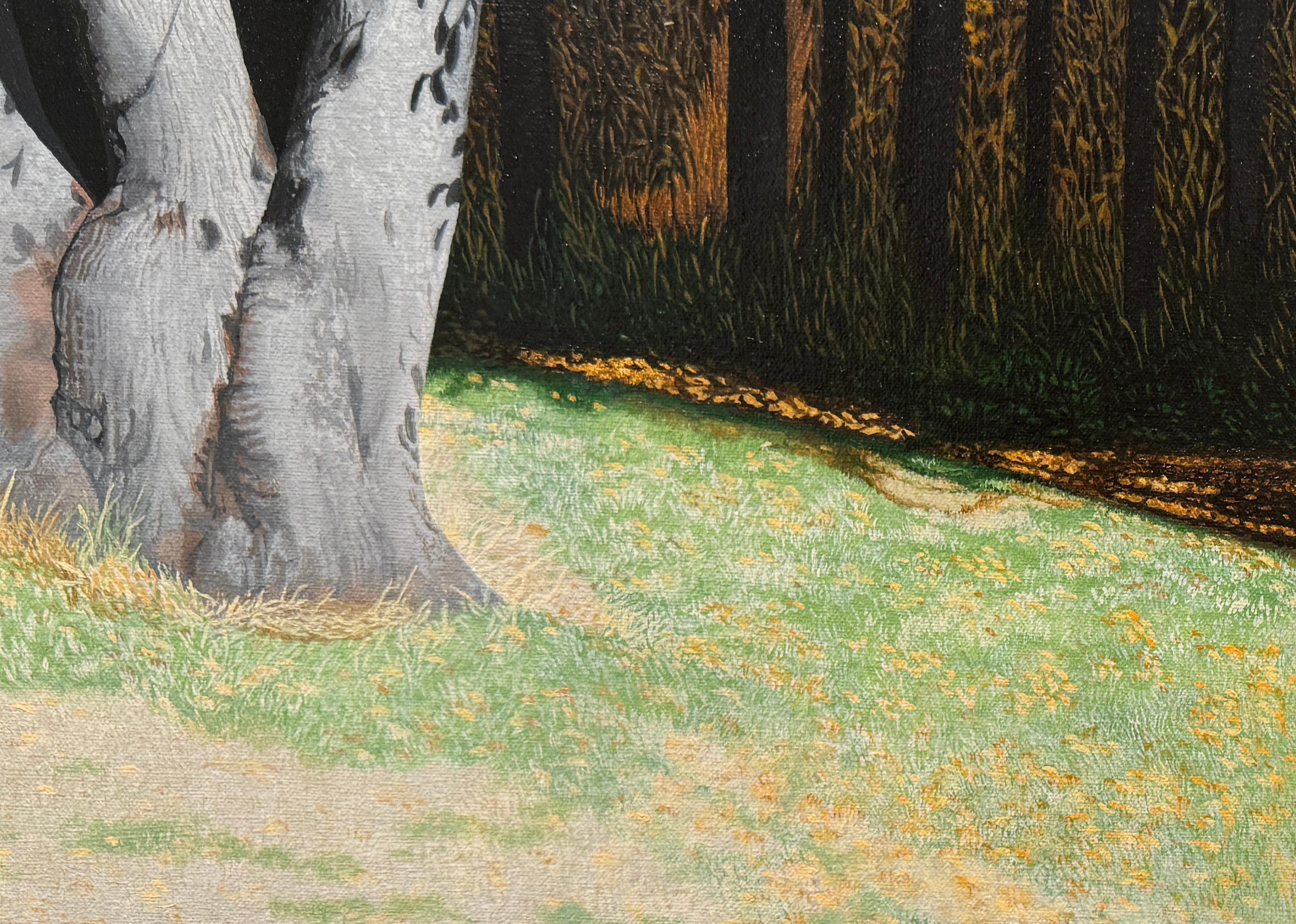 UNA VISTA EN LA DISTANCIA - Paisaje / Otoño / Árboles en venta 2