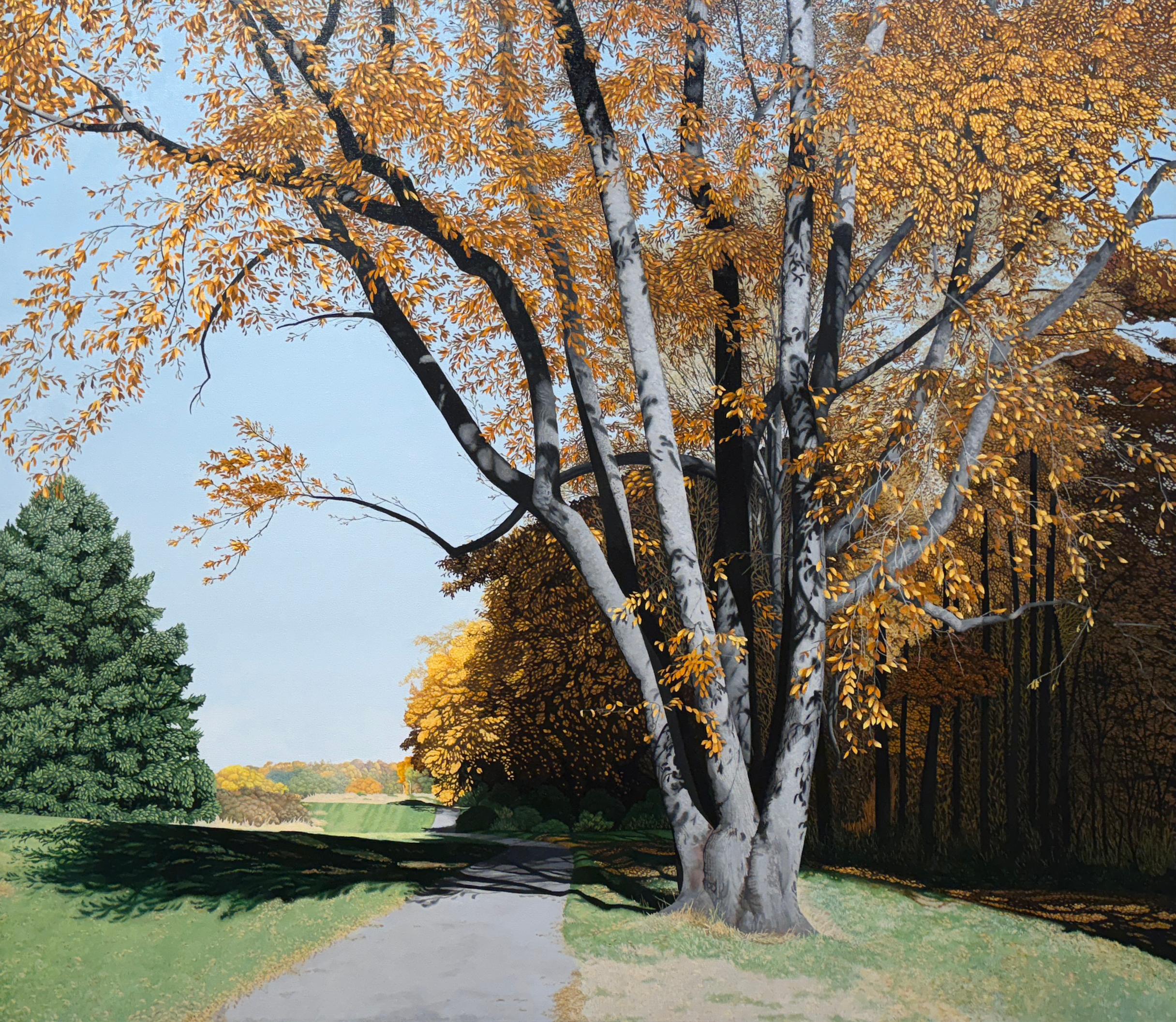 Landscape Painting de Anita Mazzucca - UNA VISTA EN LA DISTANCIA - Paisaje / Otoño / Árboles