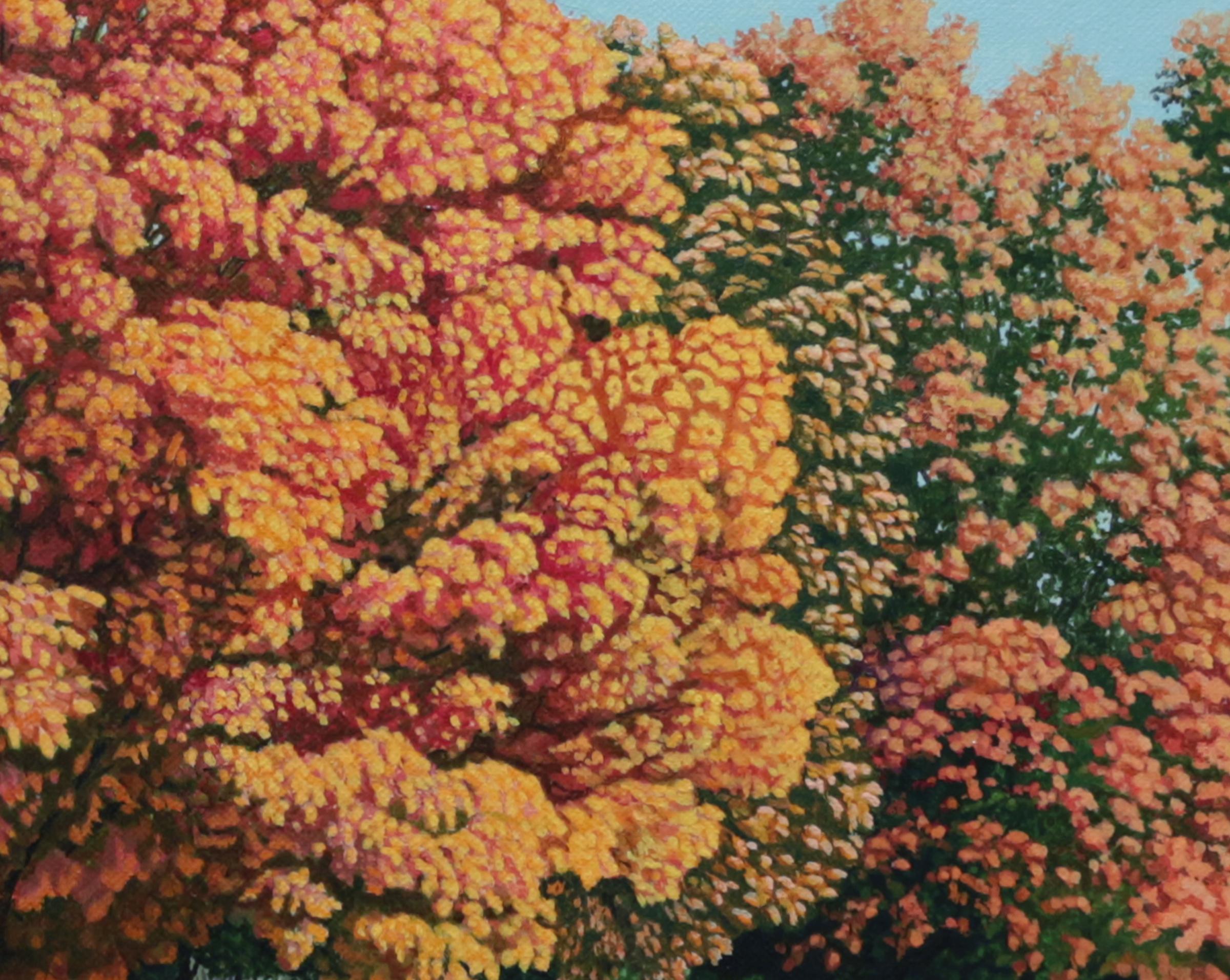 COLTS NECK PARK - Contemporary Landscape Painting / Autumn / Fall Foliage For Sale 1