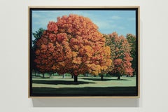 COLTS NECK PARK - Contemporary Landscape Painting / Autumn / Fall Foliage