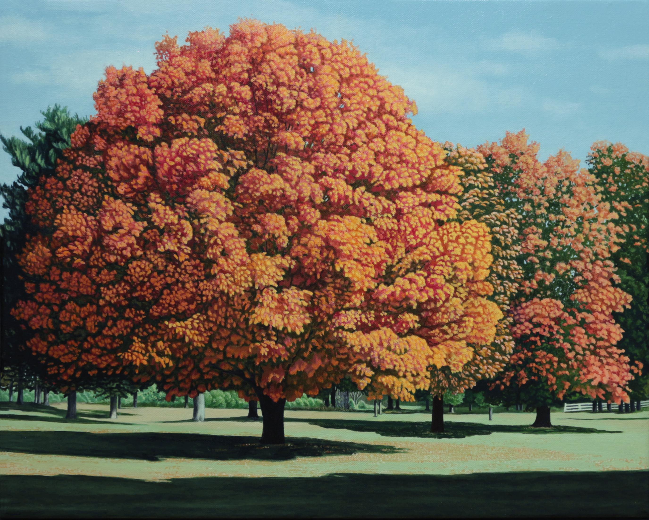 Anita Mazzucca Landscape Painting – COLTS NECK PARK - Zeitgenössisches Landschaftsgemälde / Herbst/Herbstlaub