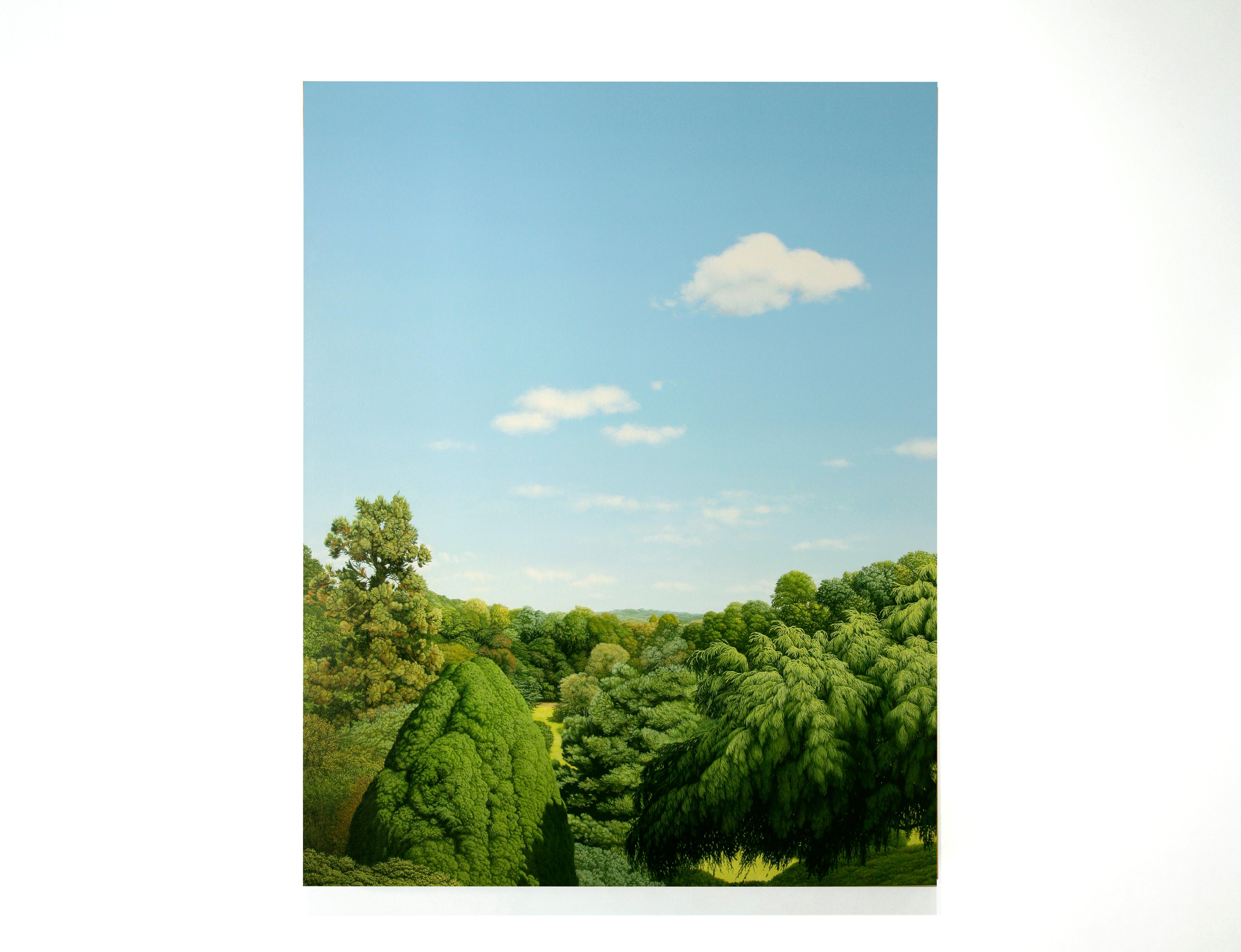 DEEP CUT PARK, vivid green forest, hyper-realism, trees, blue skies, clouds - Painting by Anita Mazzucca
