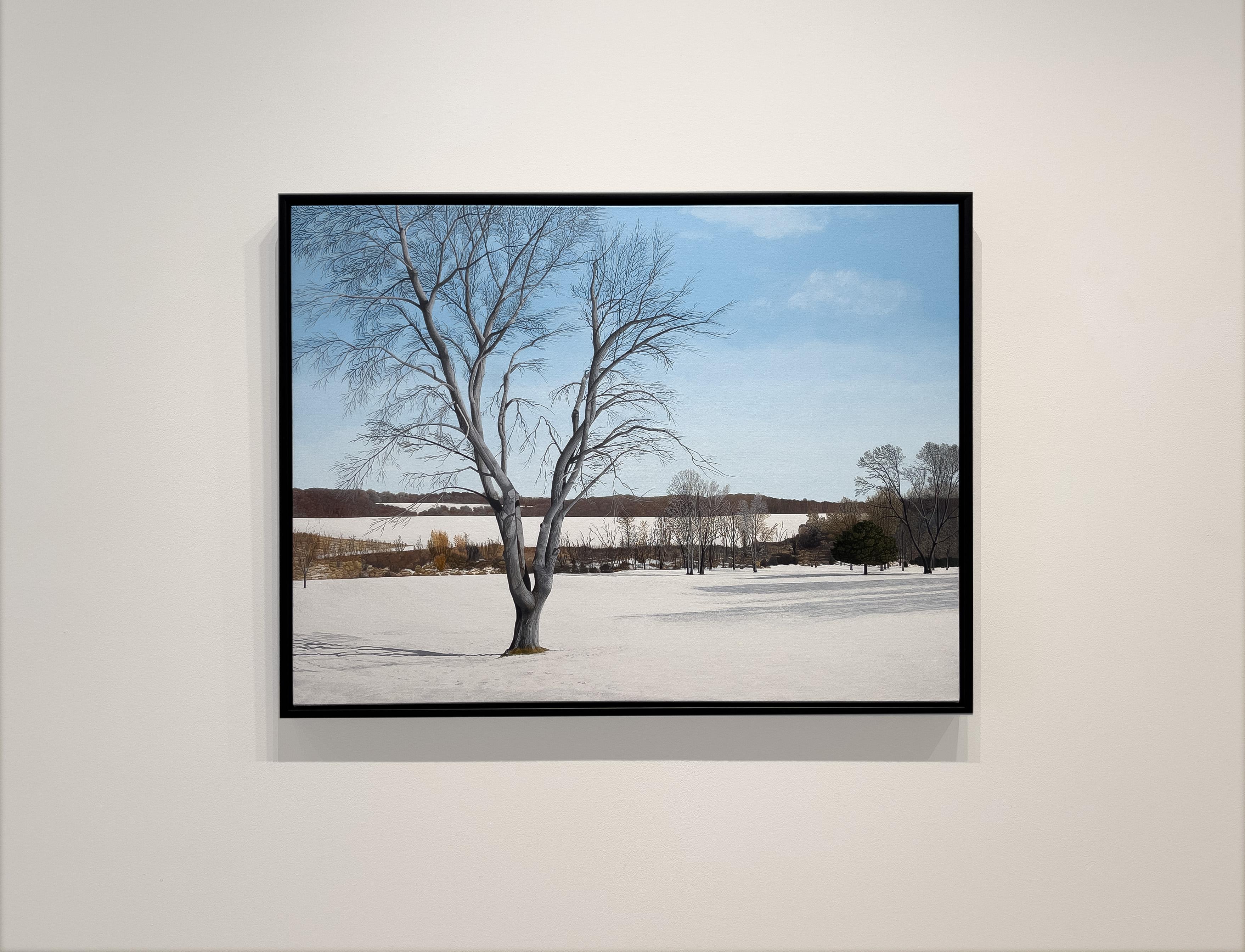LONGUES OMBRES SUR LA NEIGE - Paysage / Réalisme / Scène d'hiver contemporaine - Painting de Anita Mazzucca
