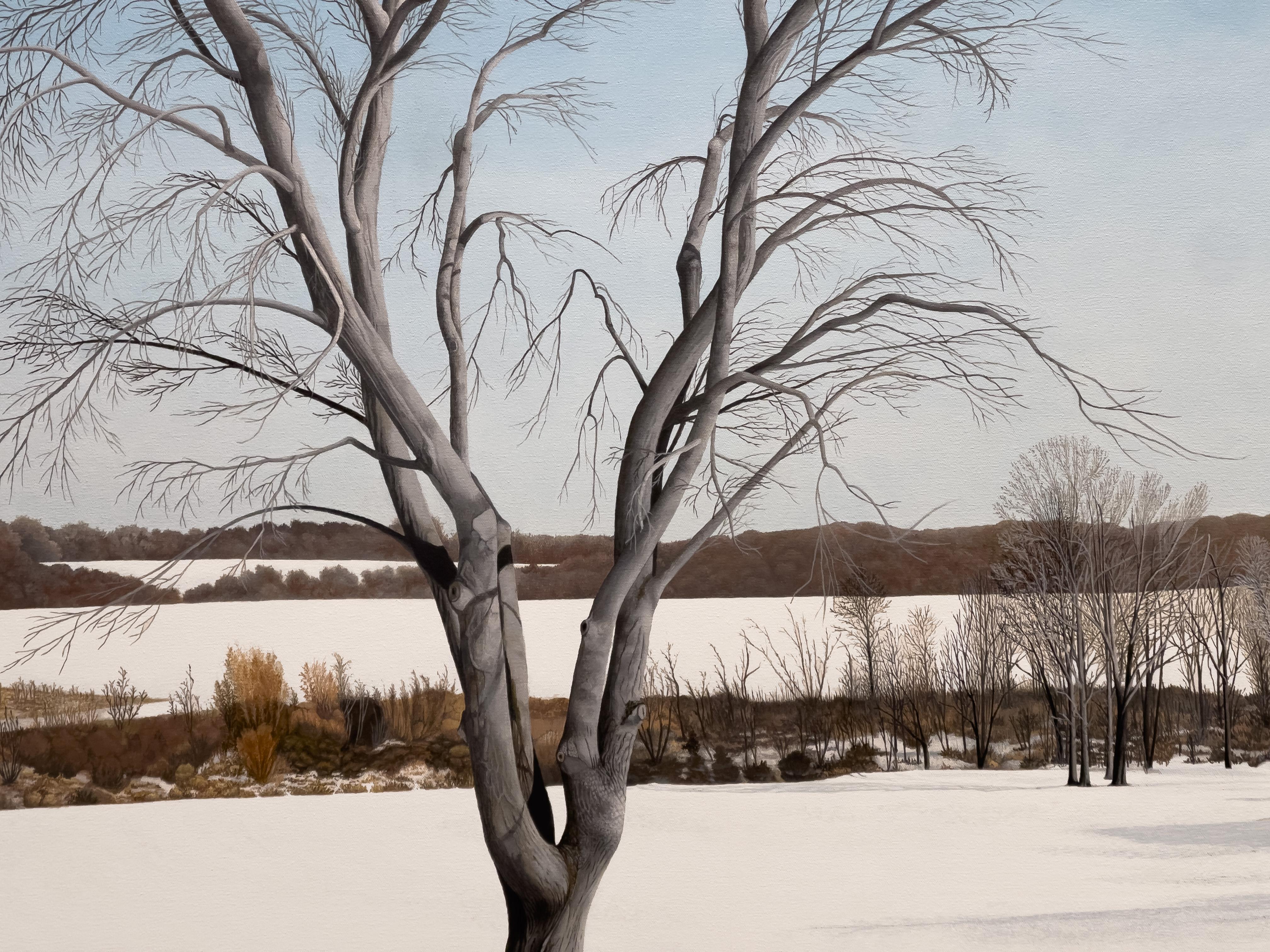 LONG SHADOWS ON THE SNOW - Landscape / Realism / Contemporary Winter Scene For Sale 1
