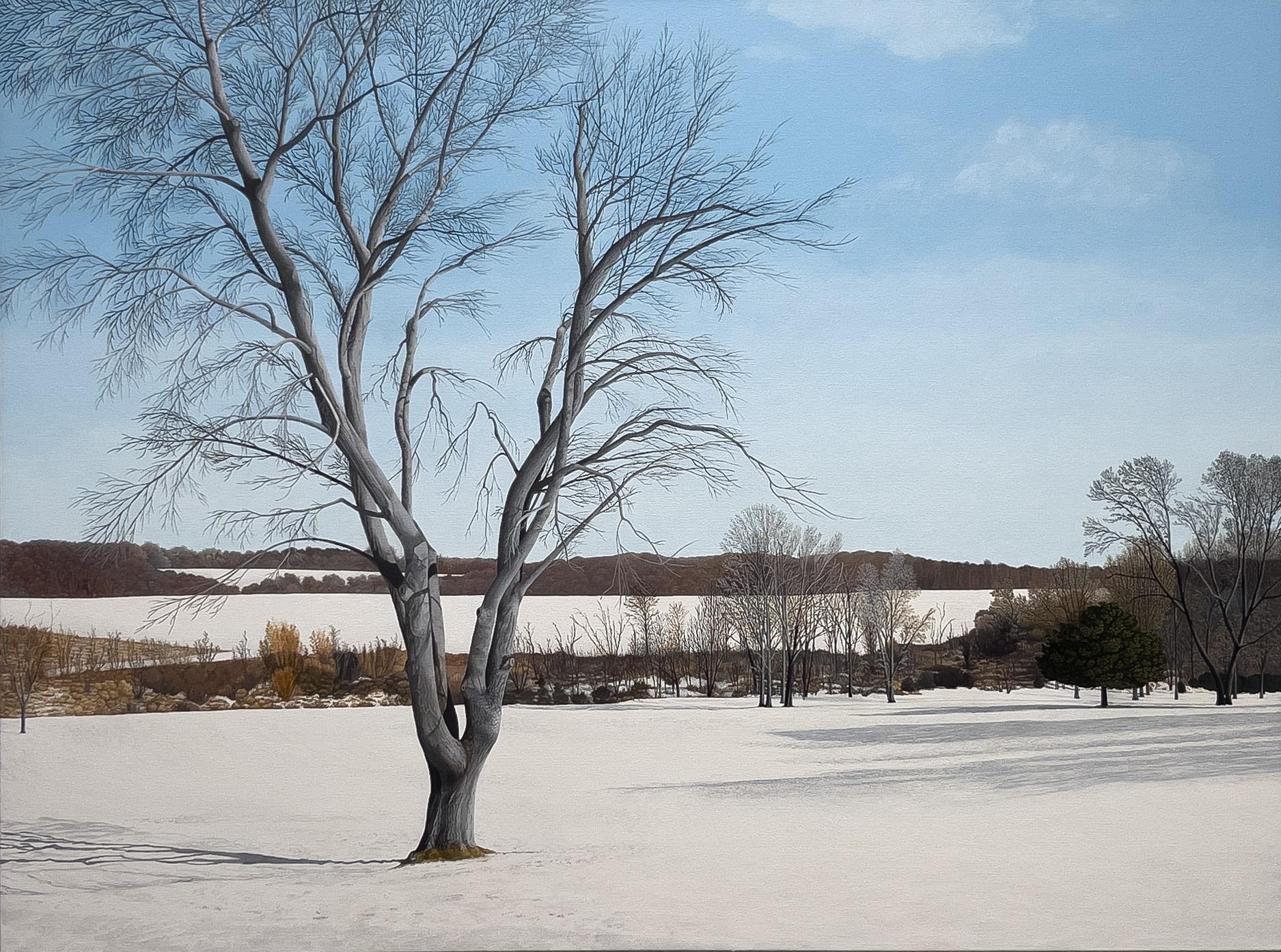 Landscape Painting Anita Mazzucca - LONGUES OMBRES SUR LA NEIGE - Paysage / Réalisme / Scène d'hiver contemporaine