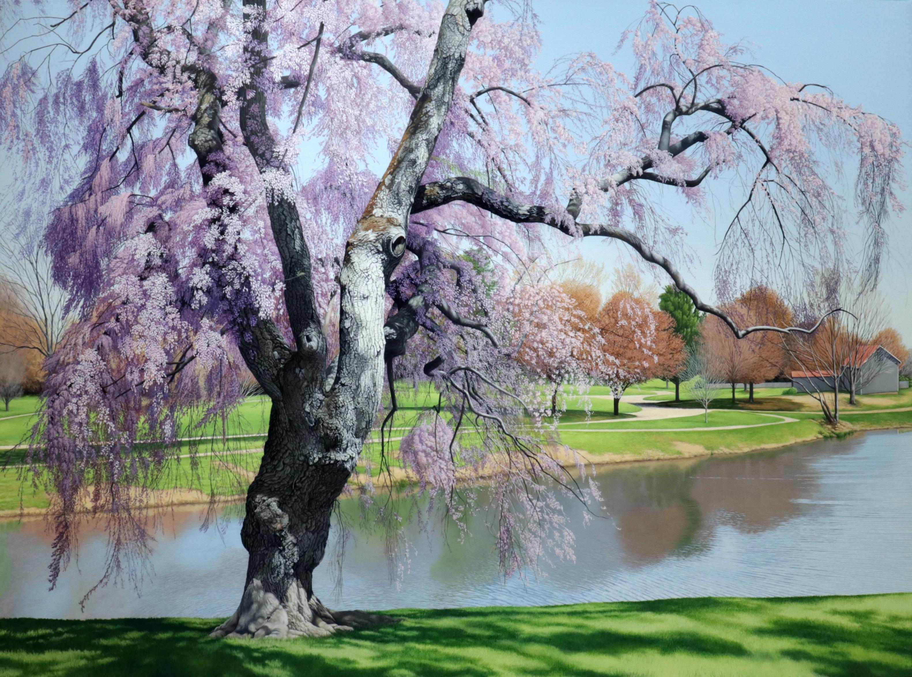 Anita Mazzucca Landscape Painting - LONGSTREET FARM - Contemporary Landscape / Cherry Blossom / Park Scene with Pond
