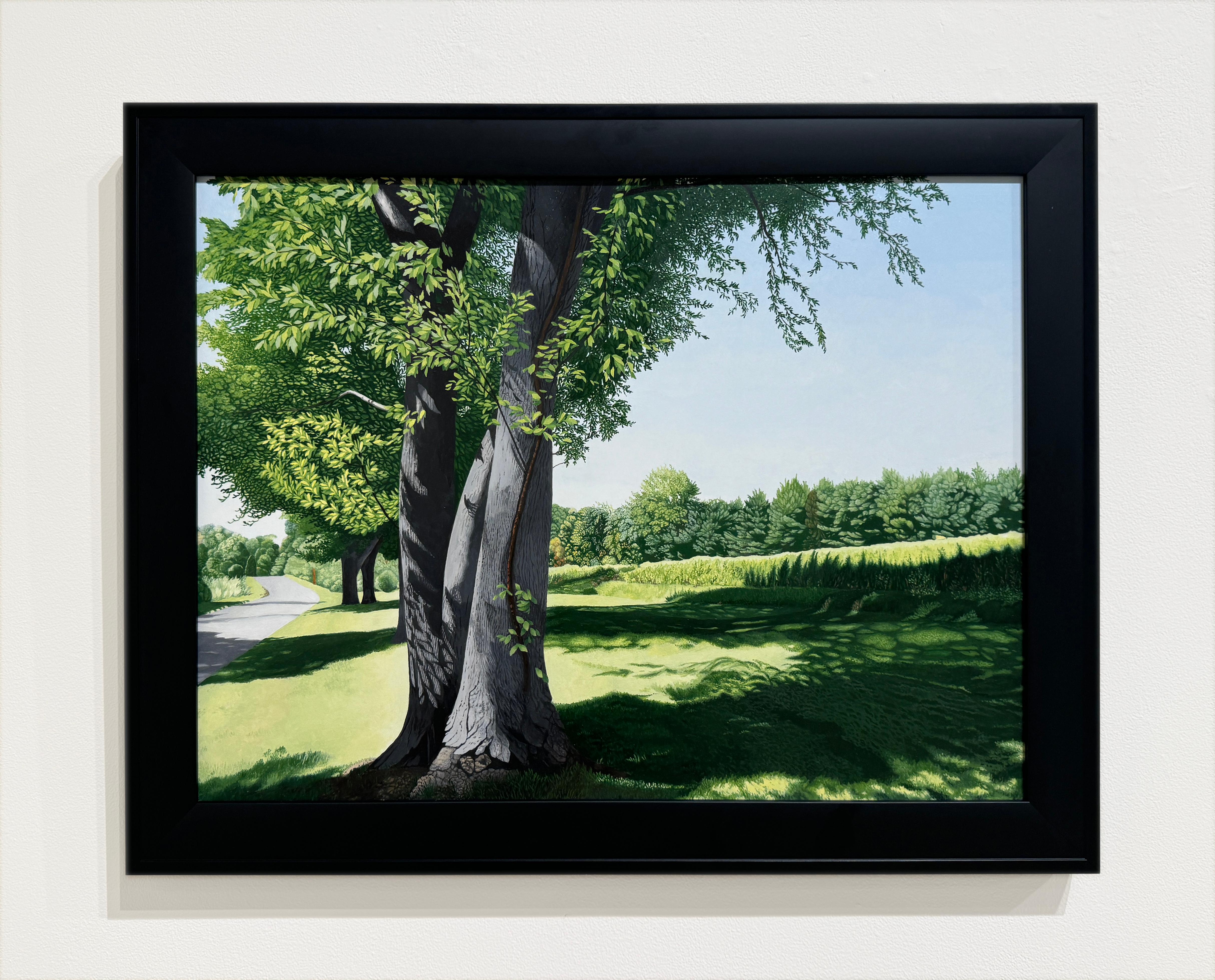 EN RETOUR DU dessinateur - Paysage / réalisme / arbres / vert - Painting de Anita Mazzucca