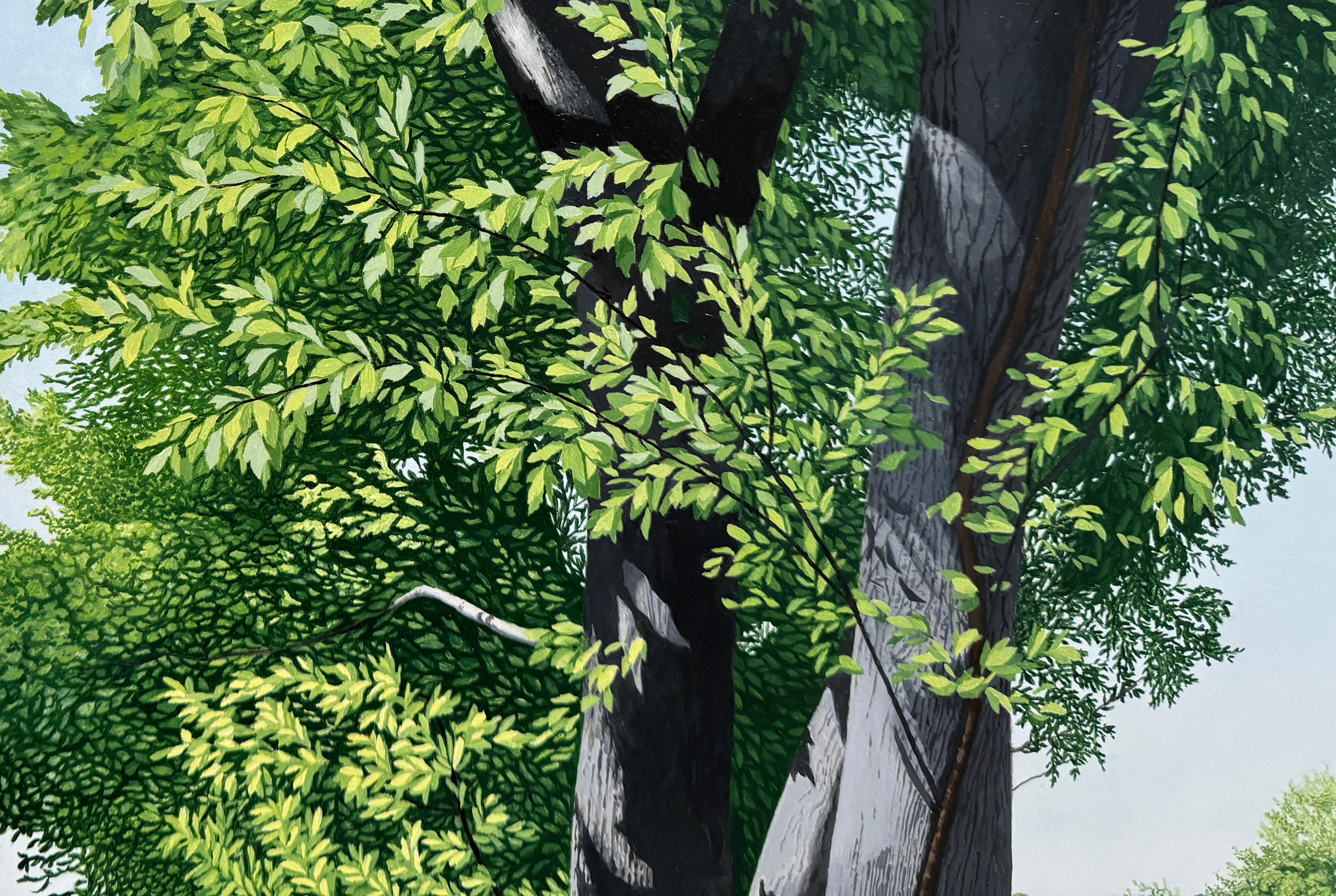 EN RETOUR DU dessinateur - Paysage / réalisme / arbres / vert - Noir Landscape Painting par Anita Mazzucca